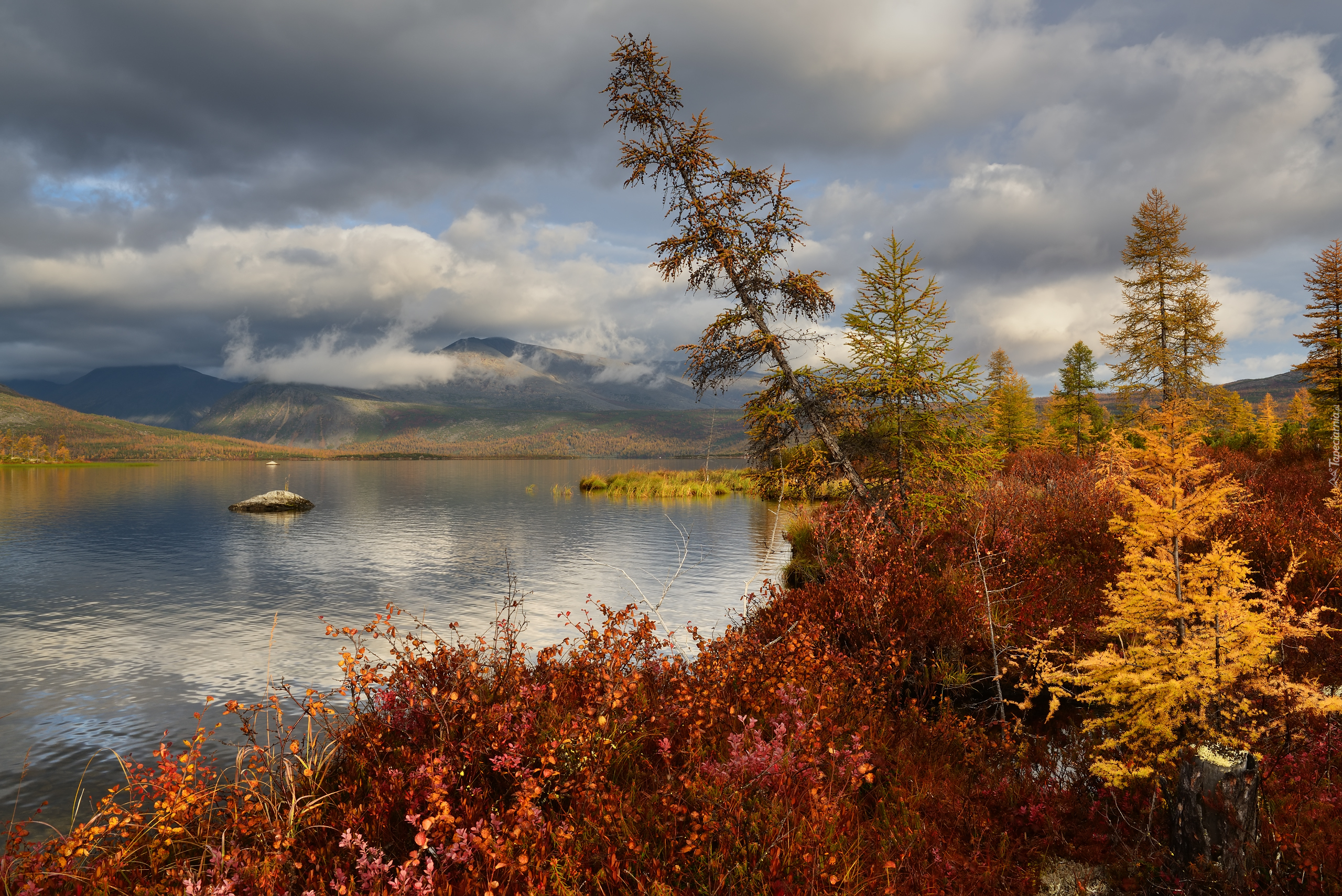 Jezioro, Jack London, Jesień, Drzewa, Roślinność, Kolorowa, Chmury, Wysepka, Kołyma, Rosja