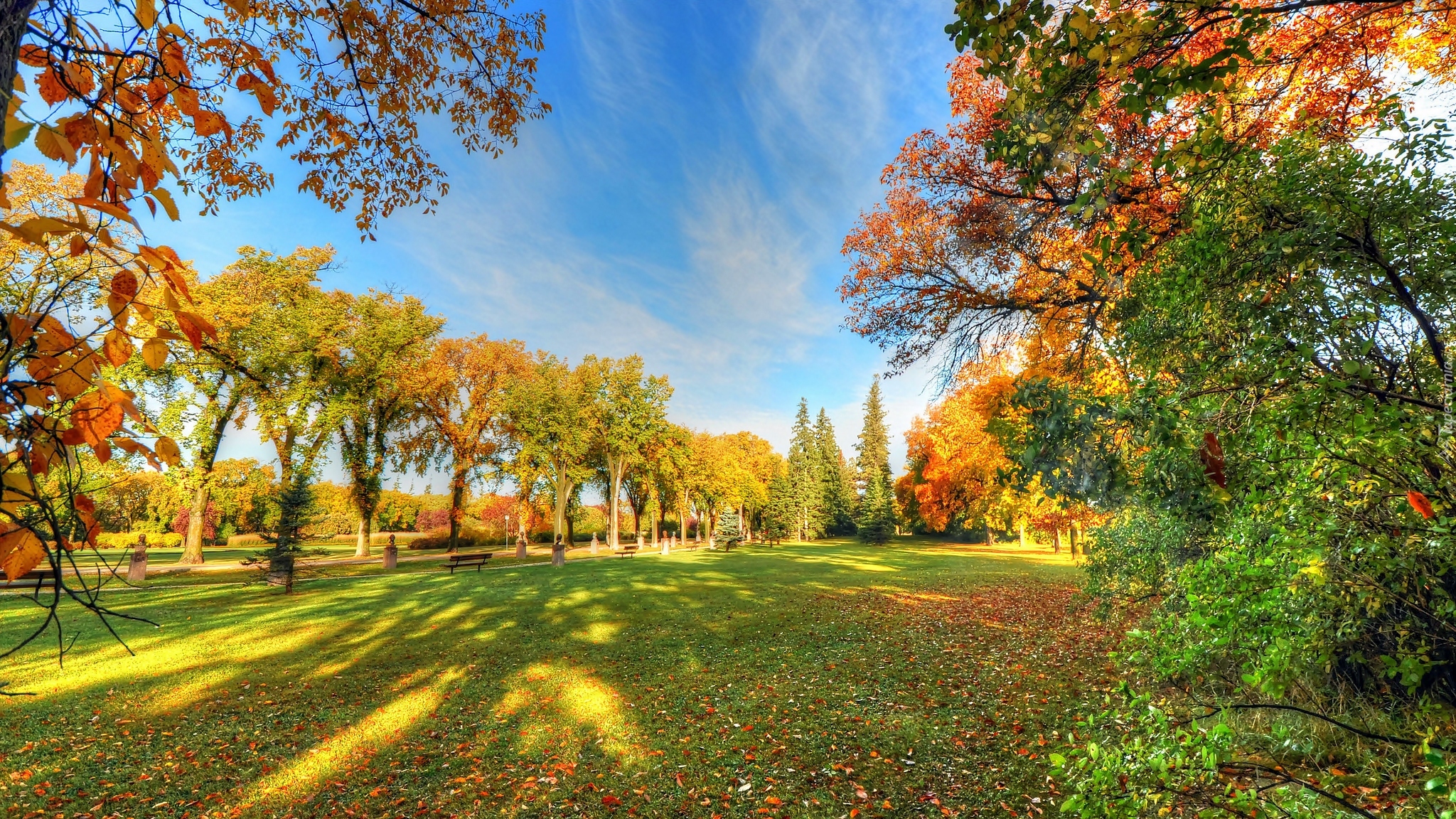 Park, Drzewa, Alejki, Ławki, Liście, Jesień