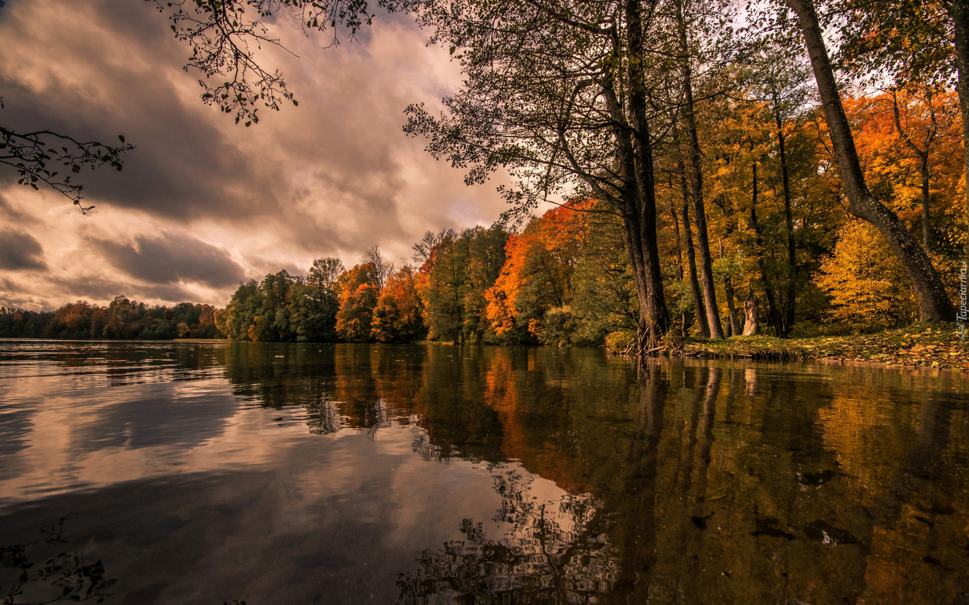 Jesień, Jezioro, Chmury, Drzewa