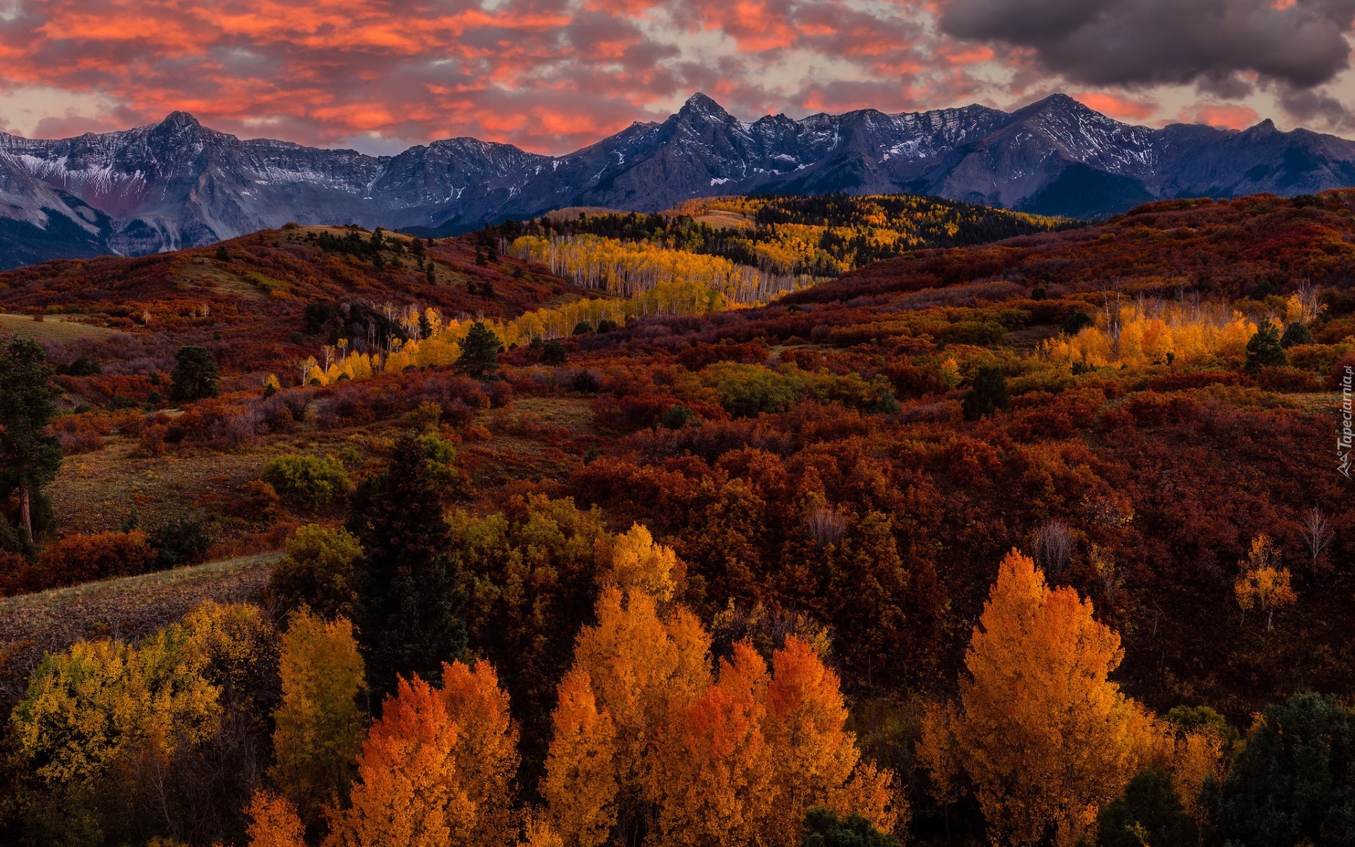 Stany Zjednoczone, Kolorado, San Juan Mountains, Dallas Divide, Jesień, Drzewa, Las, Góry, Wzgórza, Niebo, Chmury, Zachód słońca