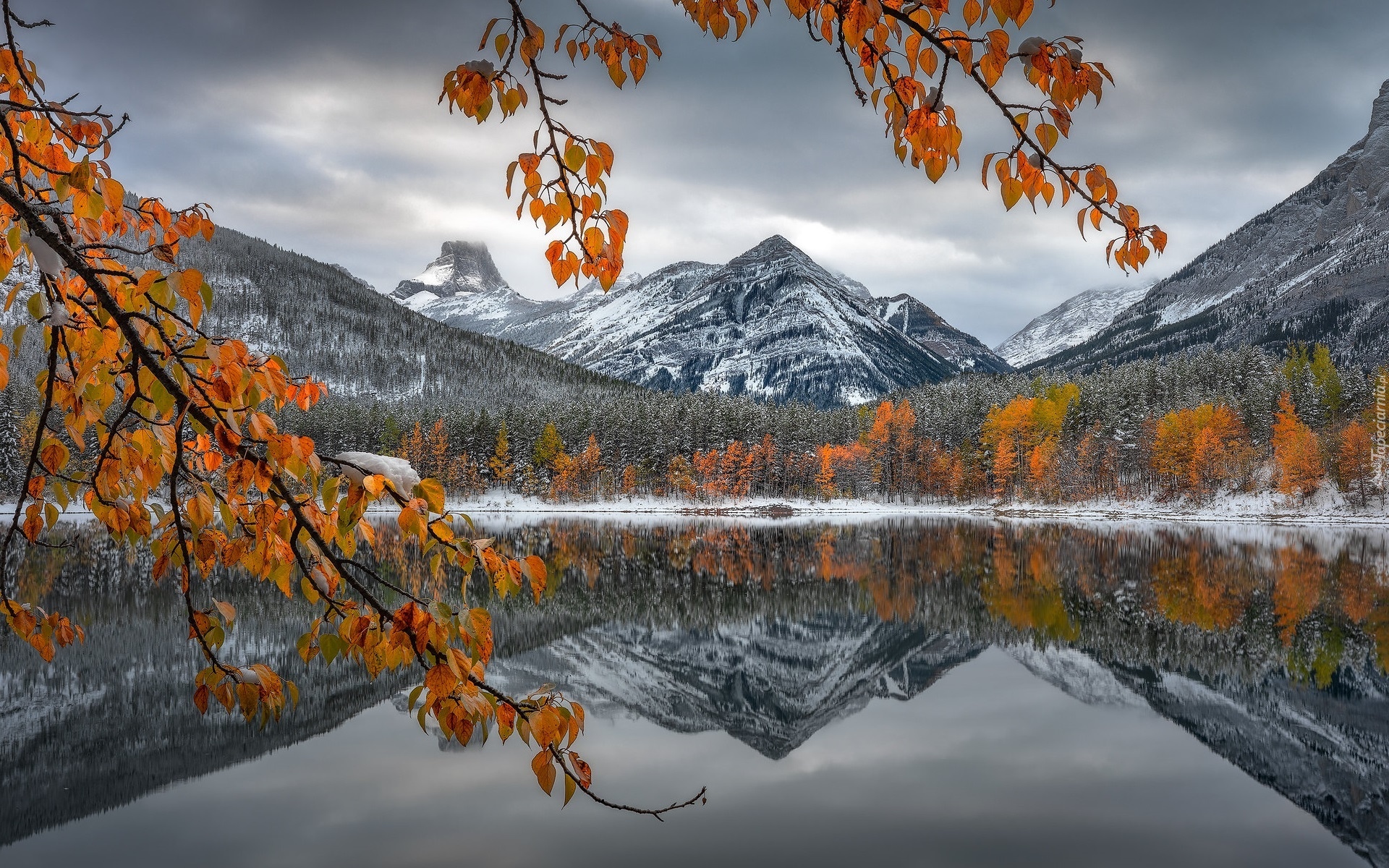 Góry Skaliste, Jezioro, Drzewa, Park Narodowy Banff, Alberta, Kanada