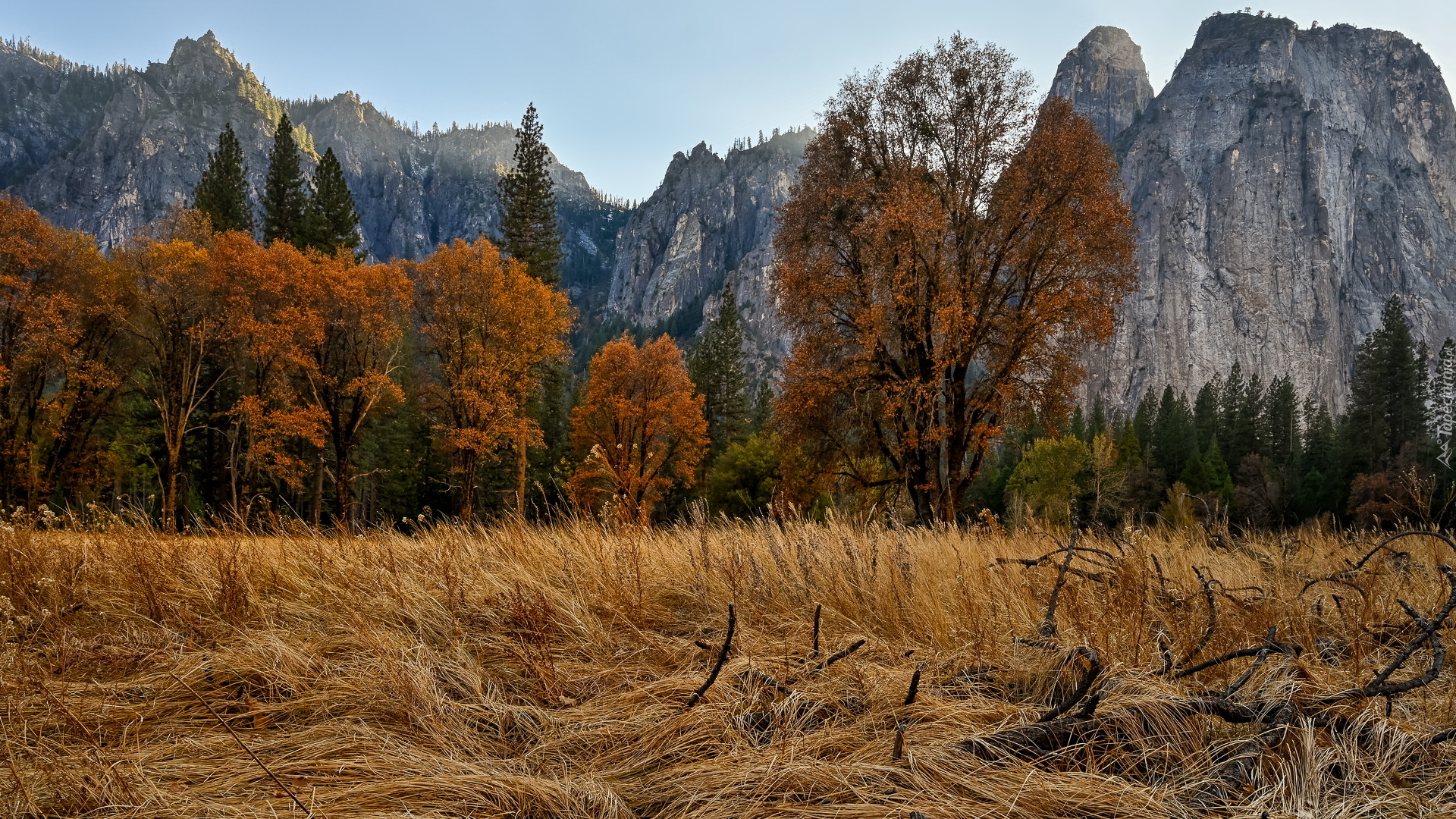 Park Narodowy Yosemite, Drzewa, Jesień, Pożółkła, Trawa, Góry, Szczyt Cathedral Peak, Kalifornia, Stany Zjednoczone