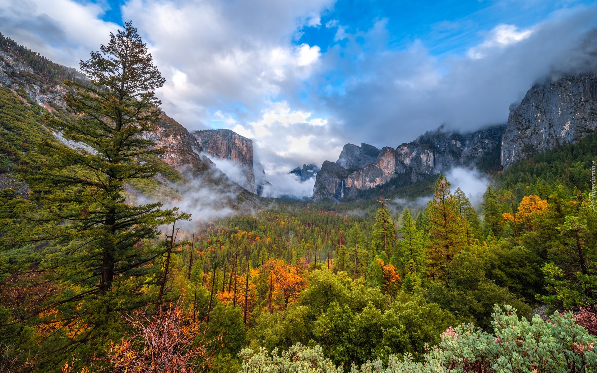 Stany Zjednoczone, Kalifornia, Park Narodowy Yosemite, Góry, Yosemite Valley, Dolina, Jesień, Drzewa, Chmury, Mgła