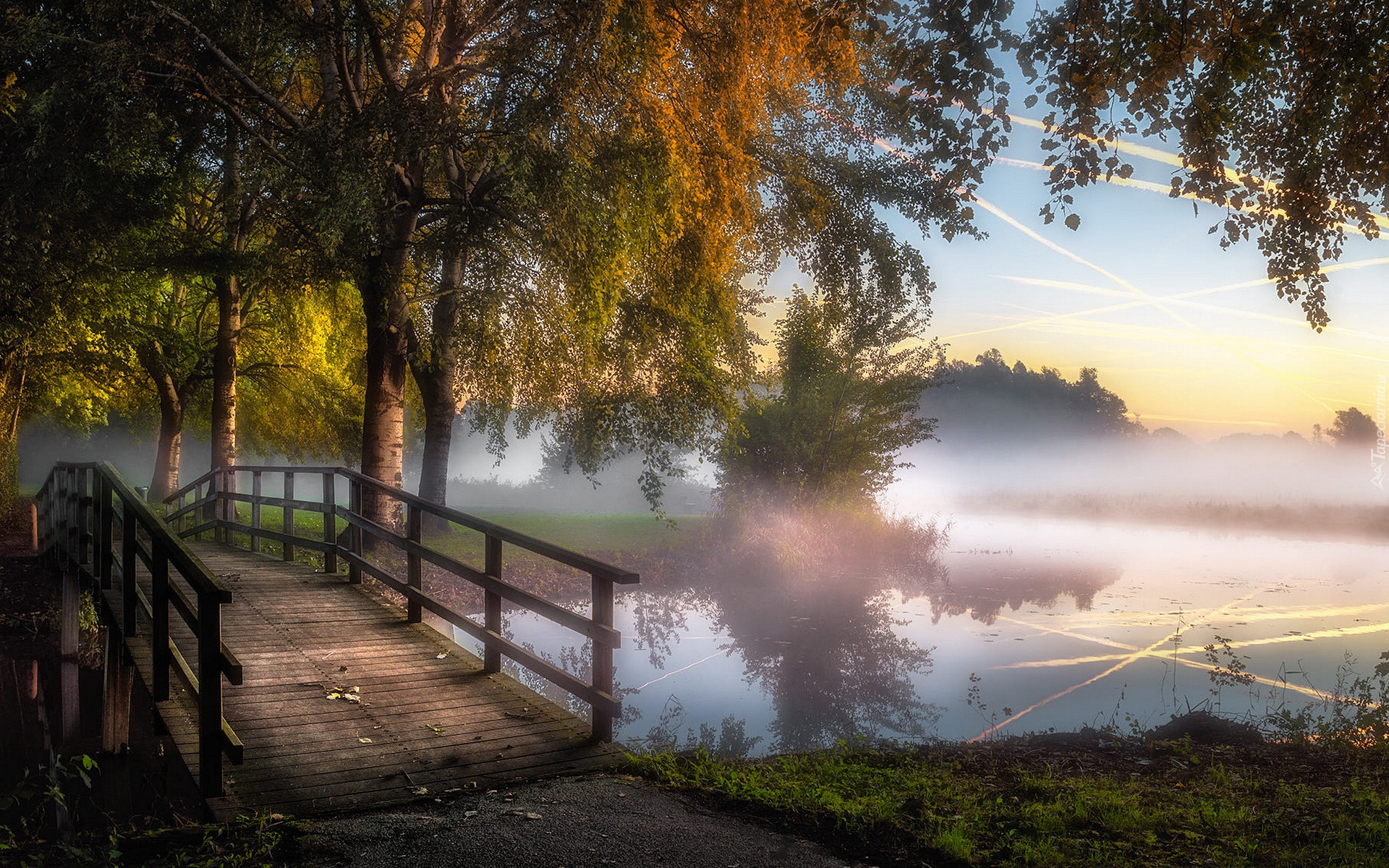 Park, Staw, Mostek, Drzewa, Mgła, Niebo, Odbicie, Poranek, Jesień