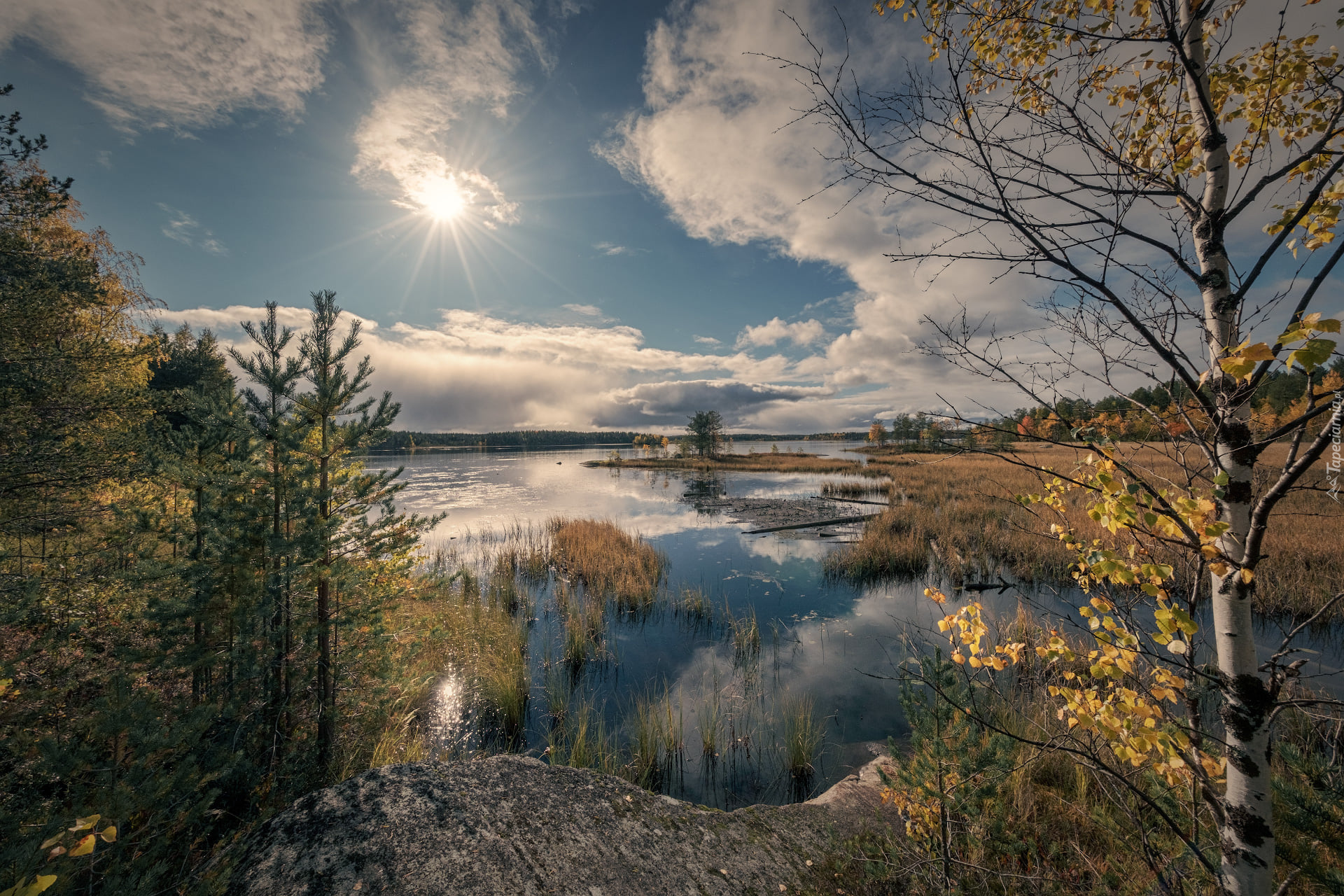 Drzewa, Słońce, Jesień, Rzeka Siegieża, Siegieża, Karelia, Rosja