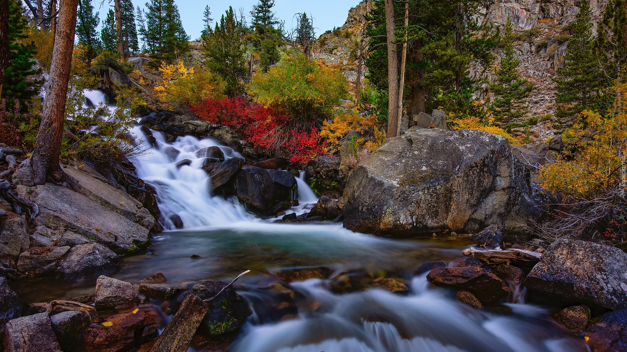 Jesień, Kolorowe, Krzewy, Drzewa, Skały, Kamienie, Rzeka, Bishop Creek, Kalifornia, Stany Zjednoczone