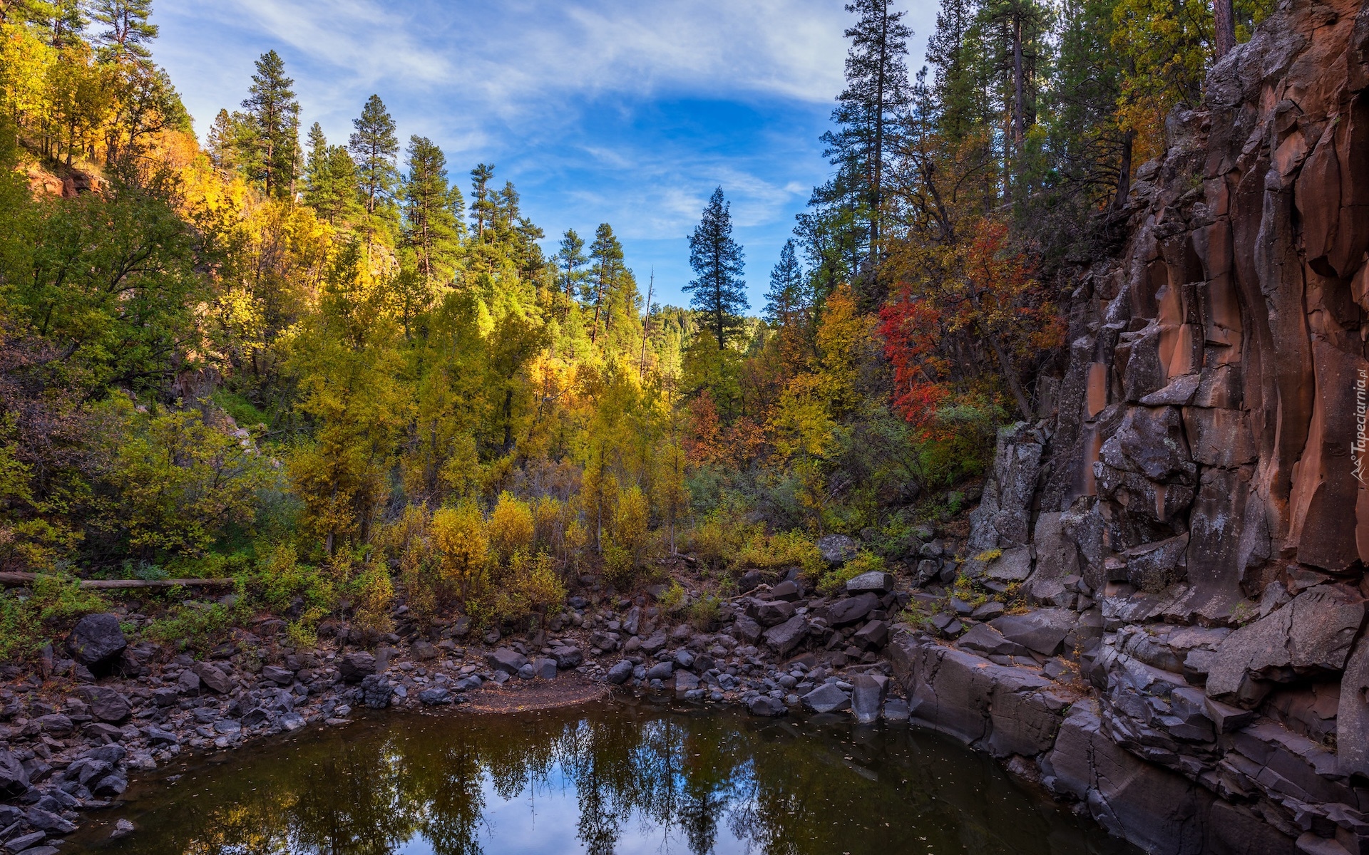 Stany Zjednoczone, Arizona, Sedona, Drzewa, Wąwóz, Skały