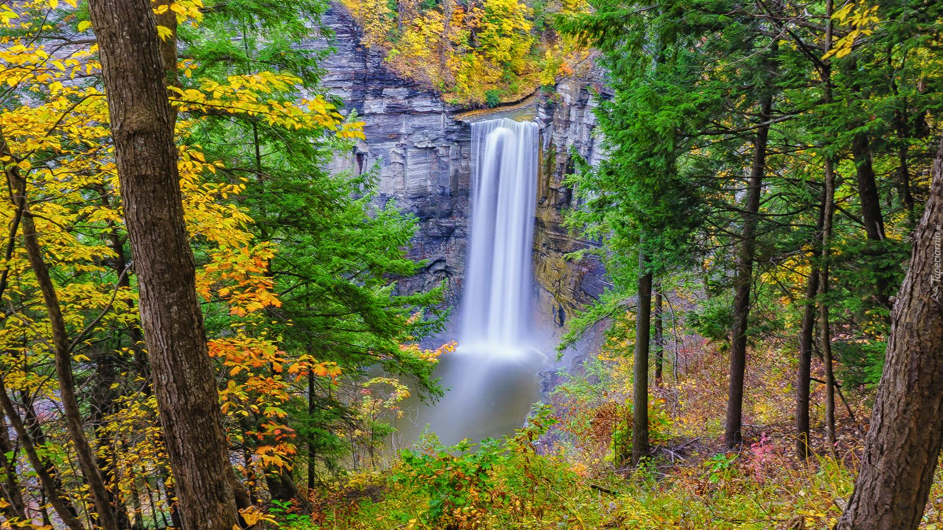 Wodospad, Taughannock Falls, Skały, Drzewa, Stan Nowy Jork, Stany Zjednoczone