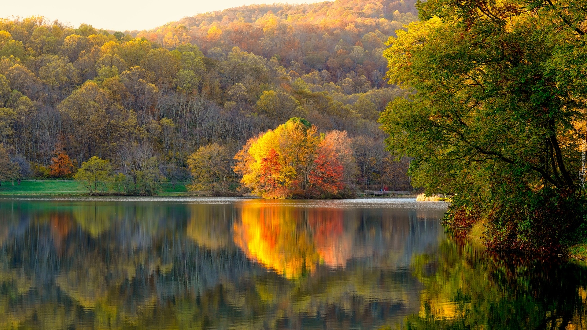 Jezioro, Las, Drzewa, Jesień, Odbicie
