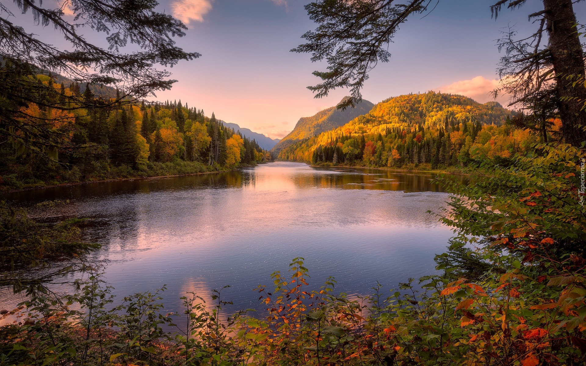 Quebec, Kanada, Góry, Jezioro, Jesień, Drzewa, Krzewy