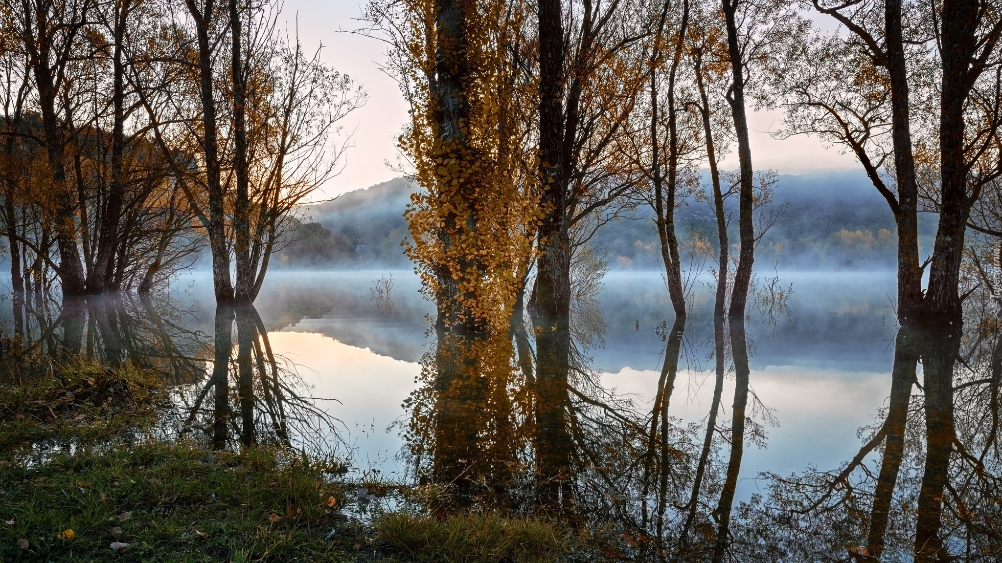 Góry, Jezioro, Mgła, Jesień, Drzewa, Odbicie