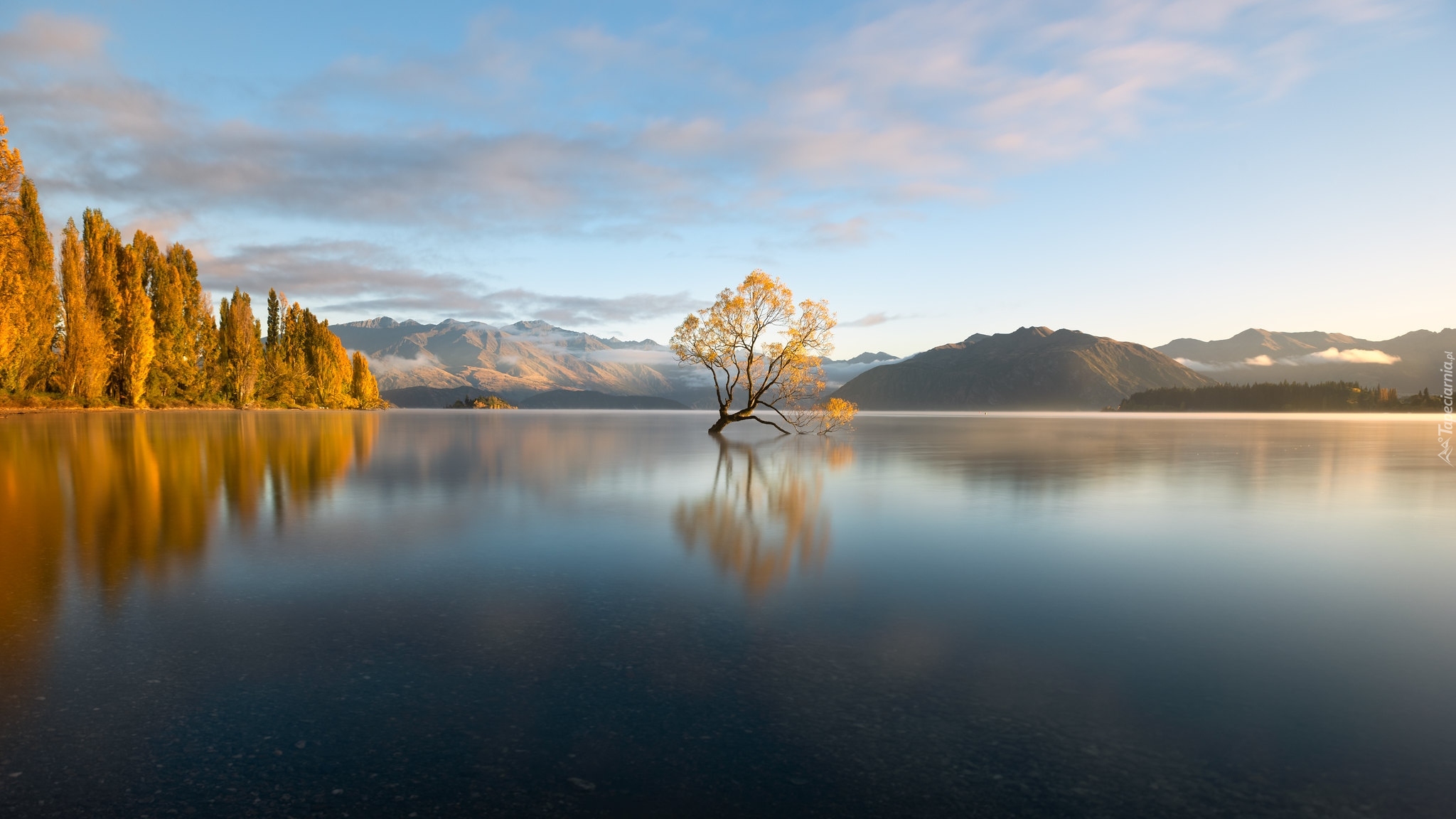 Jezioro Wanaka, Drzewo, Góry, Jesień, Nowa Zelandia