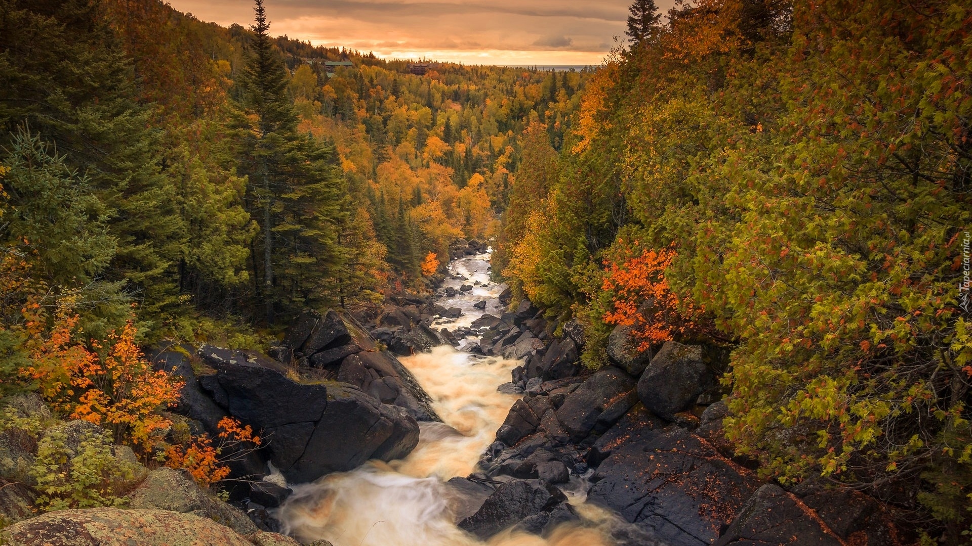 Jesień, Kolorowe, Drzewa, Rzeka, Poplar River, Kamienie, Manitoba, Kanada