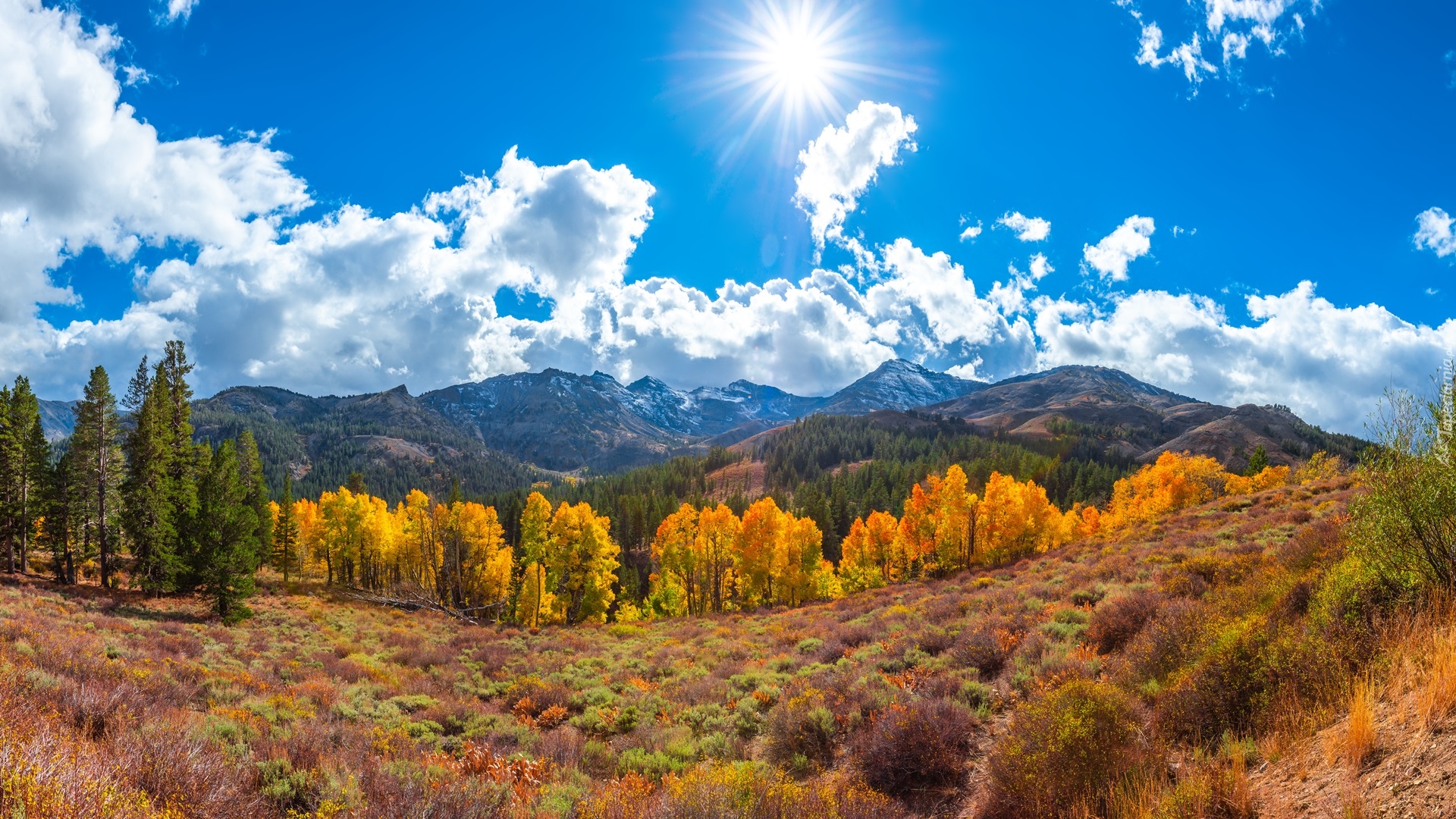 Stany Zjednoczone, Kalifornia, Eastern Sierra, Sonora Pass, Góry, Drzewa, Chmury, Jesień, Promienie słońca