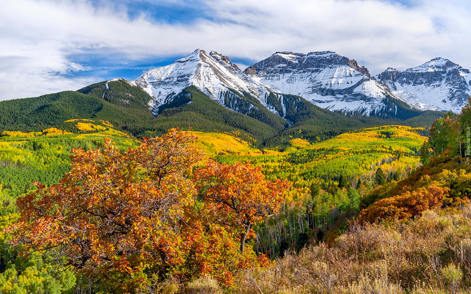 Góry, San Juan Mountains, Drzewa, Kolorowe, Jesień, Wzgórza, Kolorado, Stany Zjednoczone