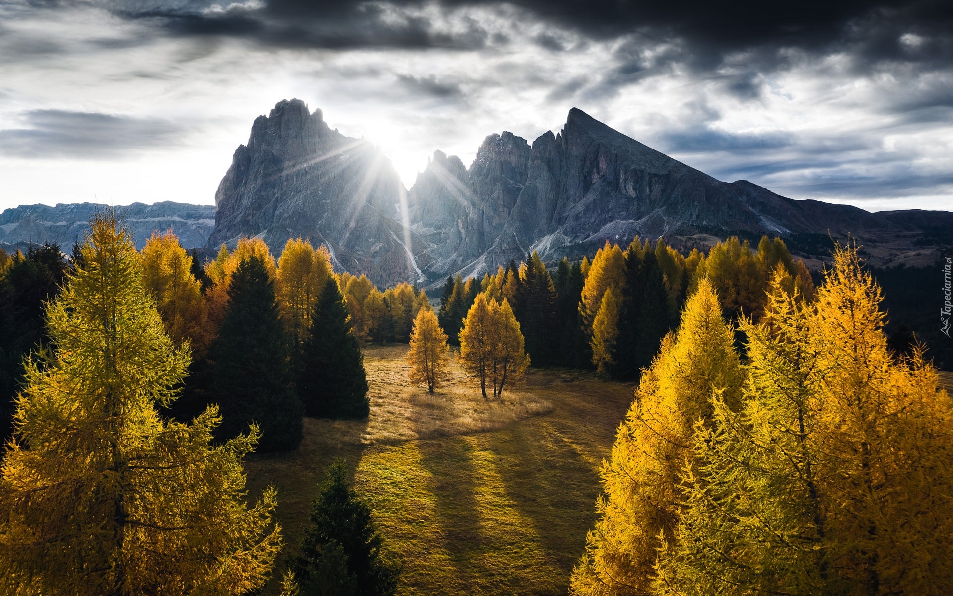 Dolomity, Góry, Sassolungo, Płaskowyż, Seiser Alm, Dolina, Val Gardena, Drzewa, Jesień, Chmury, Włochy