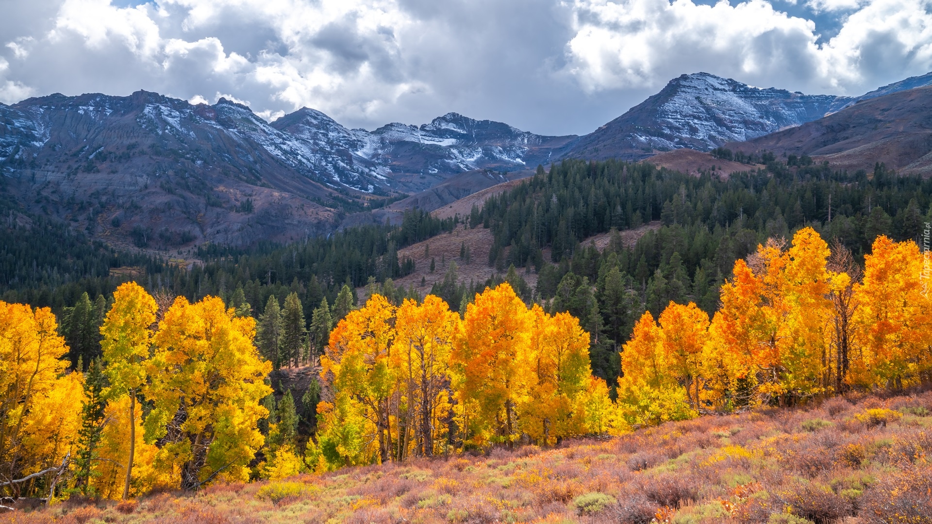 Stany Zjednoczone, Kalifornia, Eastern Sierra, Sonora Pass, Góry, Drzewa, Chmury, Jesień