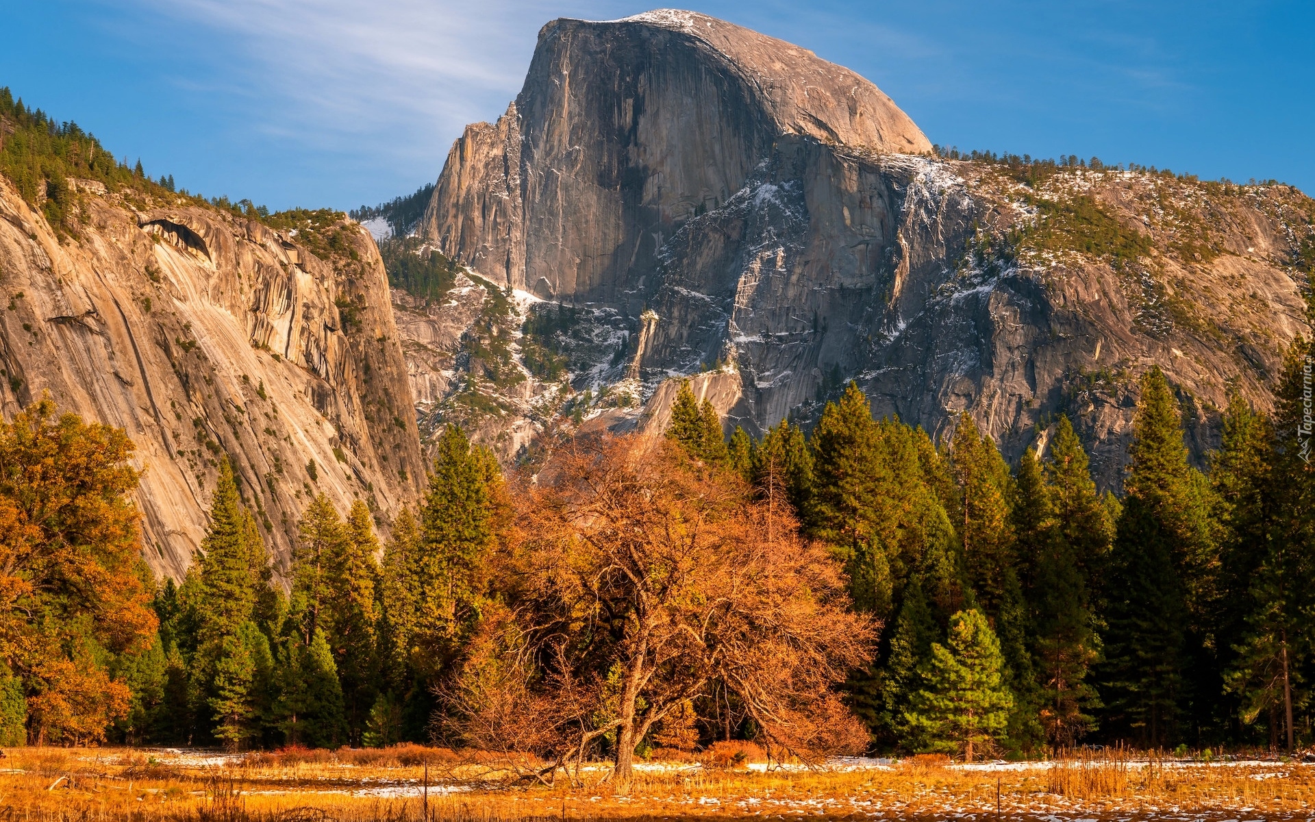 Stany Zjednoczone, Kalifornia, Park Narodowy Yosemite, Jesień, Góry, Szczyt Half Dome, Drzewa