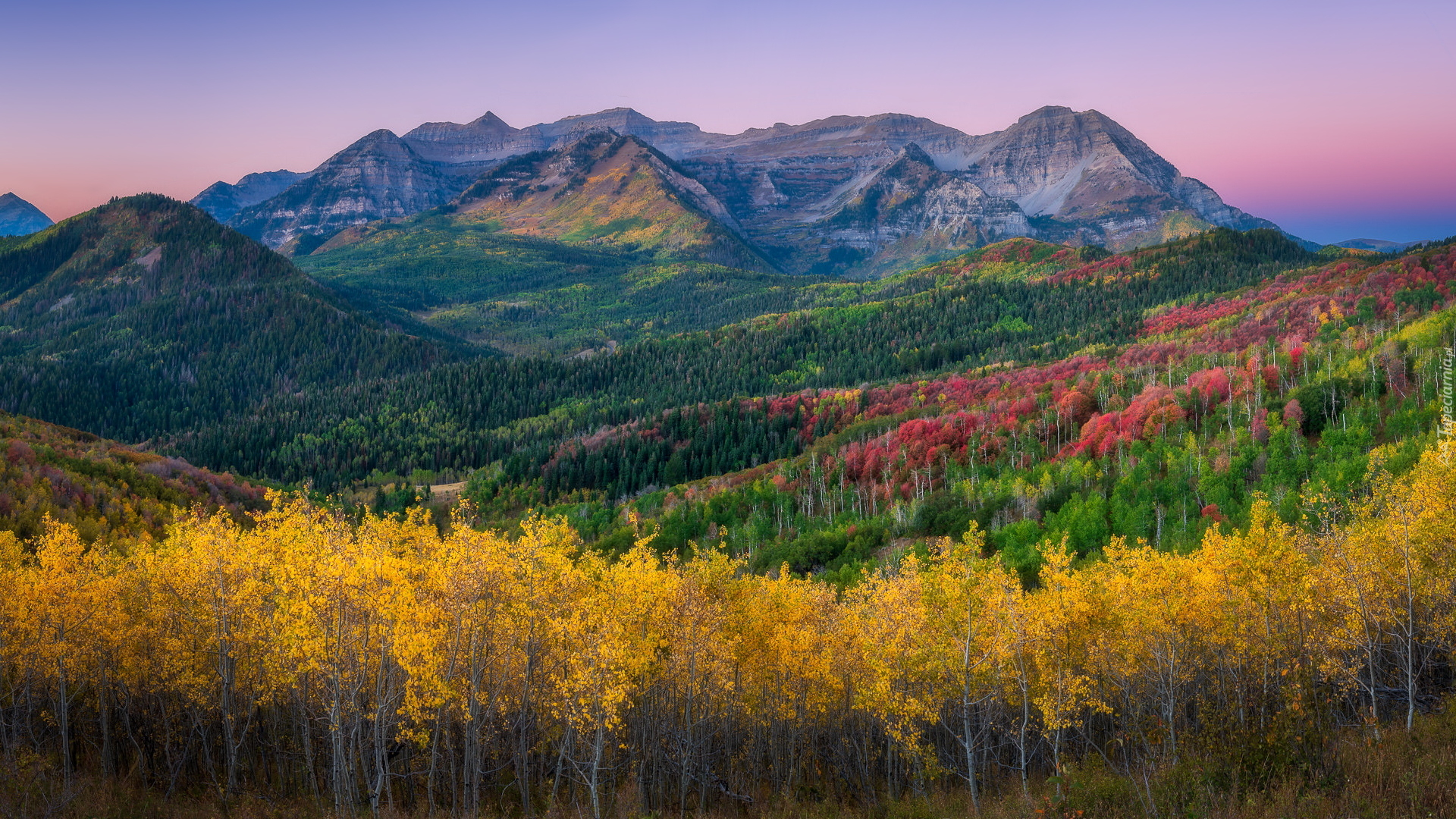 Góry, Wasatch Range, Góra, Mount Timpanogos, Lasy, Drzewa, Jesień, Stan Utah, Stany Zjednoczone