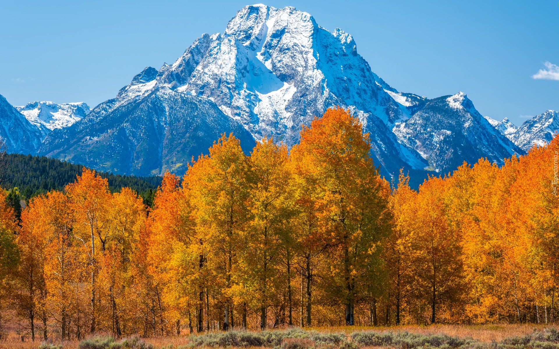 Jesień, Park Narodowy Grand Teton, Góry, Teton Range, Drzewa, Stan Wyoming, Stany Zjednoczone