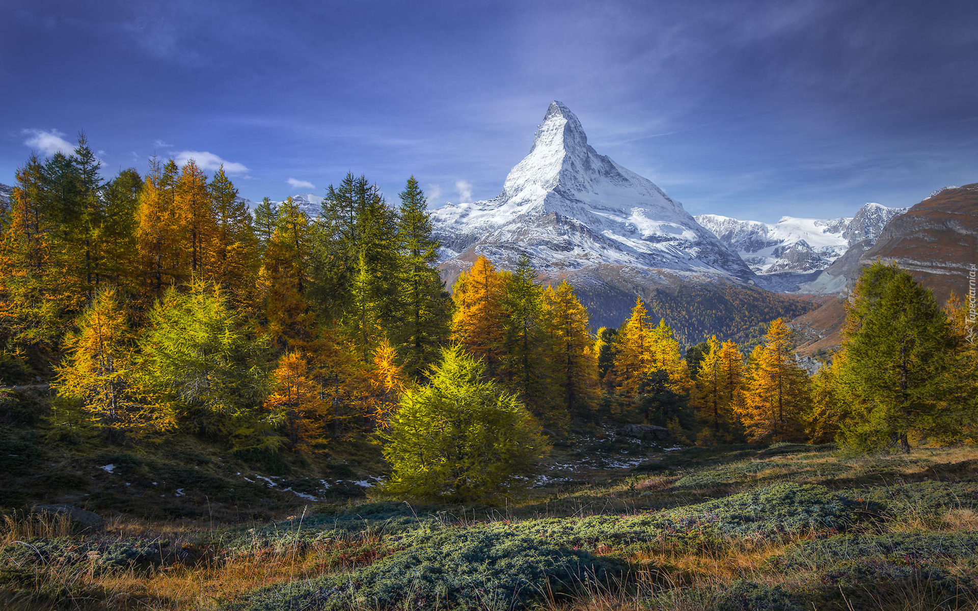 Góry, Alpy, Szczyt Matterhorn, Drzewa, Las, Jesień, Szwajcaria