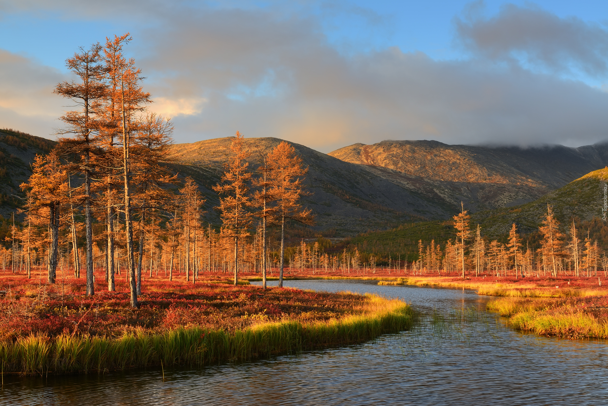 Jesień, Jezioro, Jack London, Kołyma, Drzewa, Góry Kołymskie, Roślinność, Chmury, Magadan, Rosja