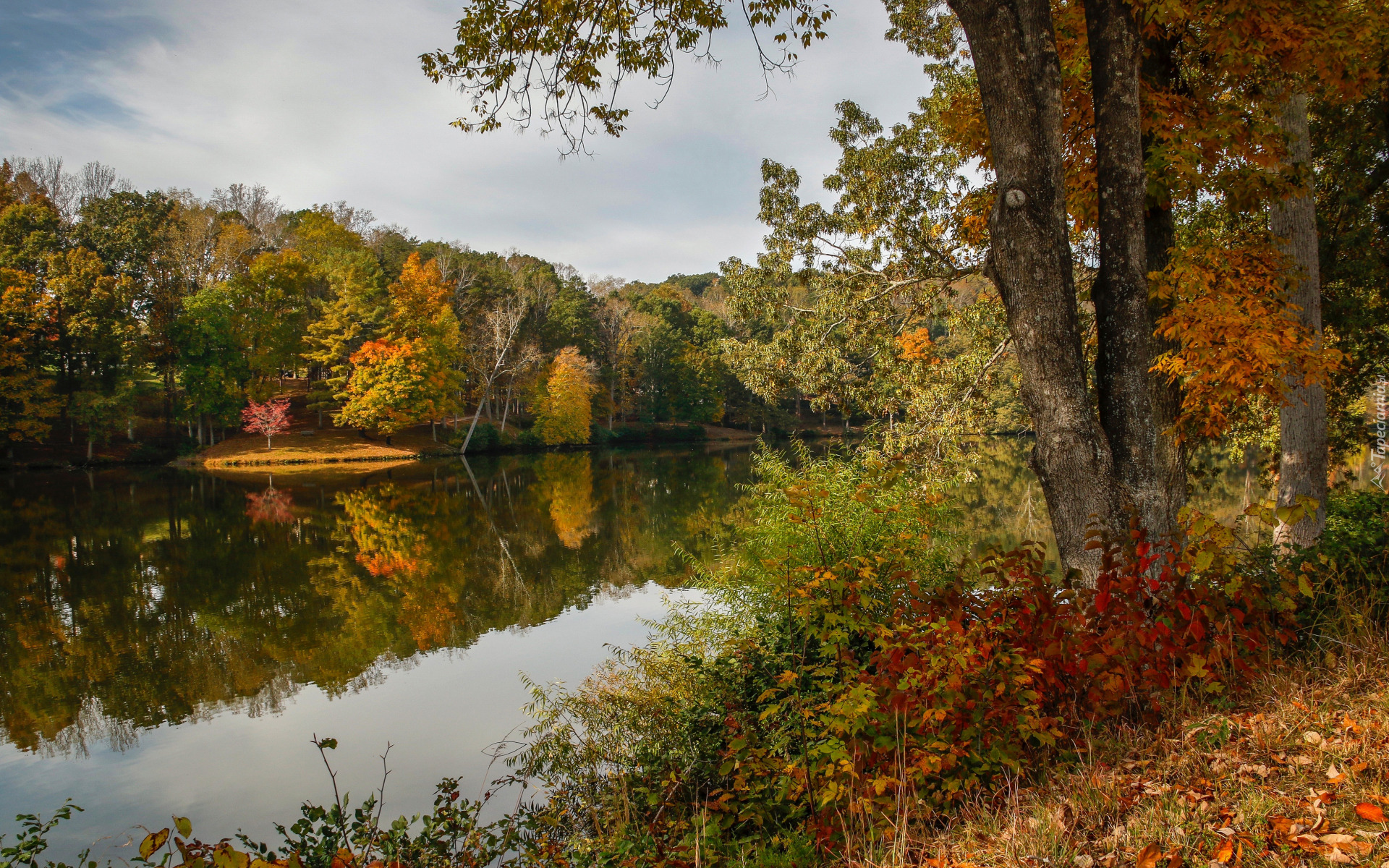 Jesień, Drzewa, Liście, Krzewy, Jezioro, Lanier Lake, Martinsville, Stan Wirginia, Stany Zjednoczone