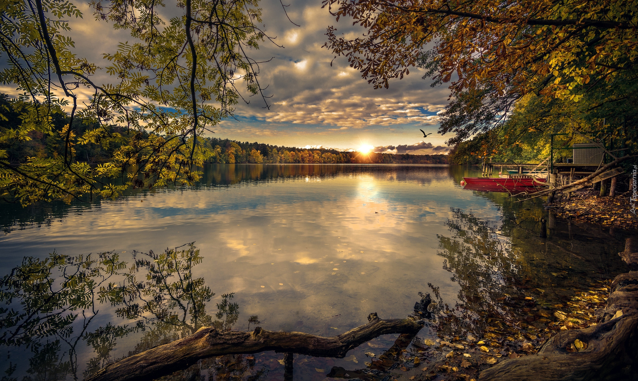Jezioro, Drzewa, Jesień, Zachód słońca, Łódka