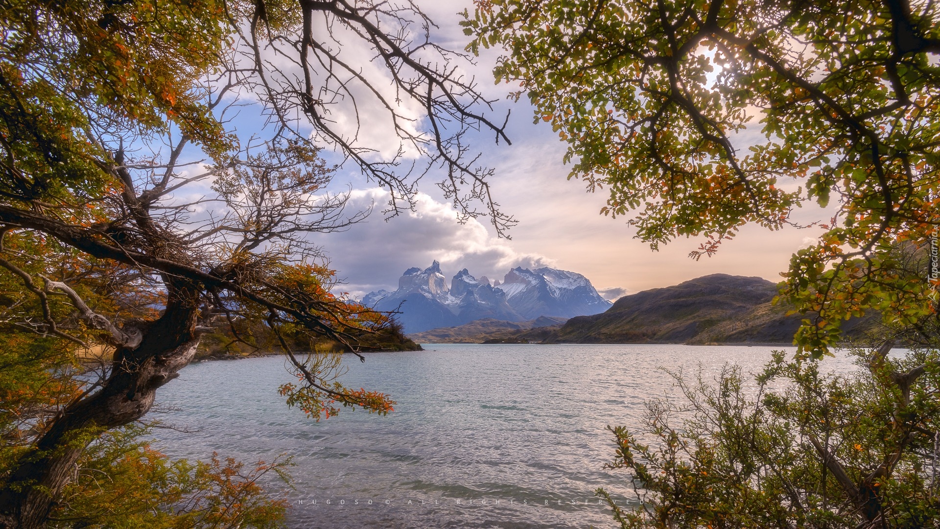Chile, Patagonia, Park Narodowy Torres del Paine, Góry, Jezioro, Drzewa