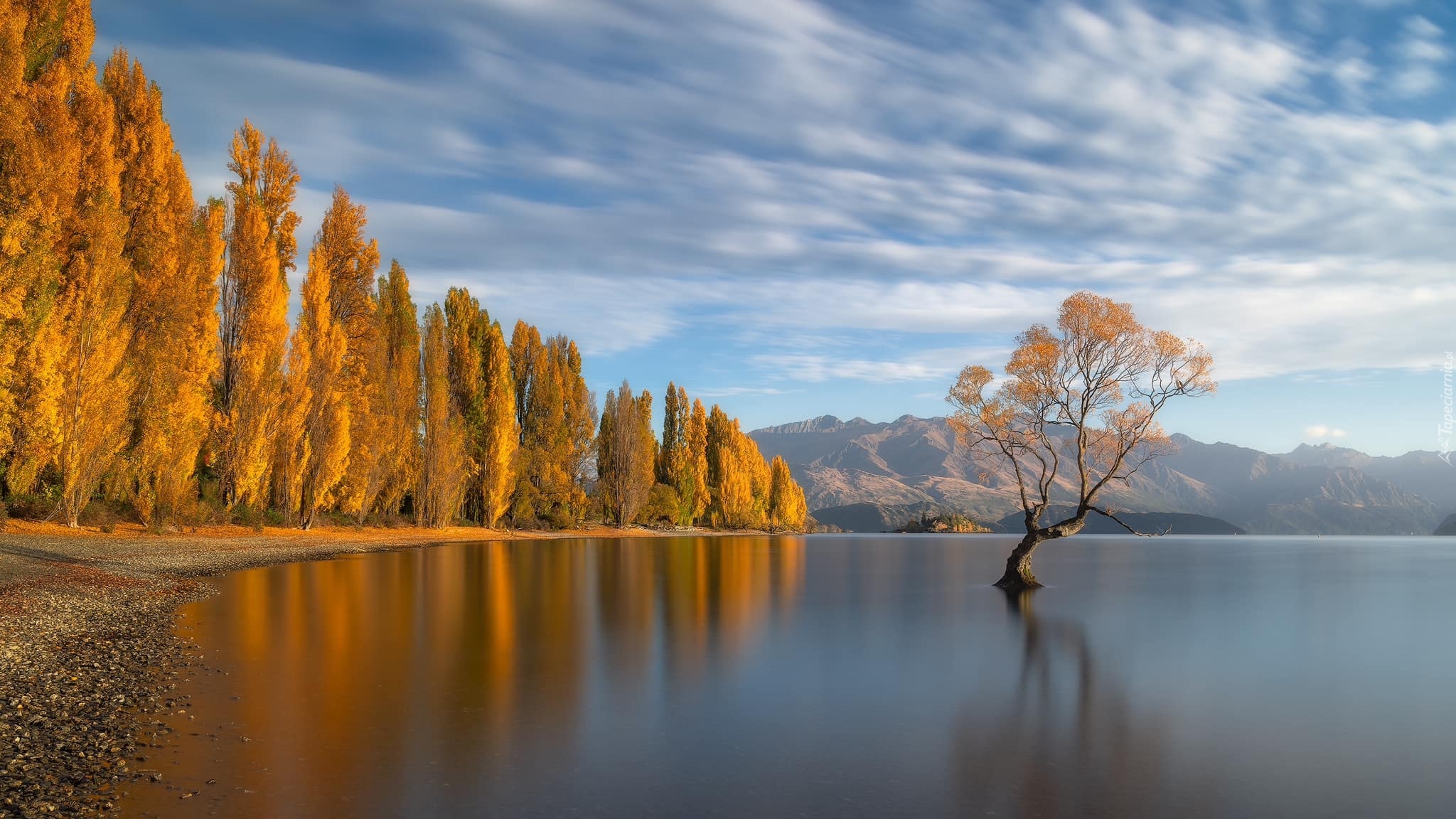 Nowa Zelandia, Jezioro, Wanaka, Drzewa, Jesień