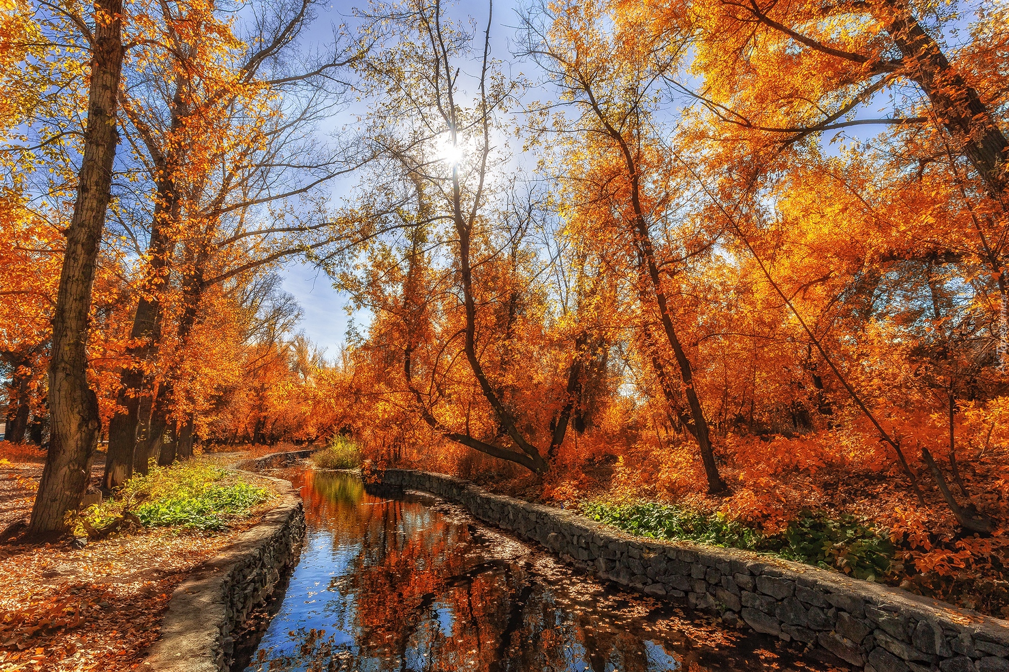 Jesień, Drzewa, Park, Kanał, Rzeka, Słońce