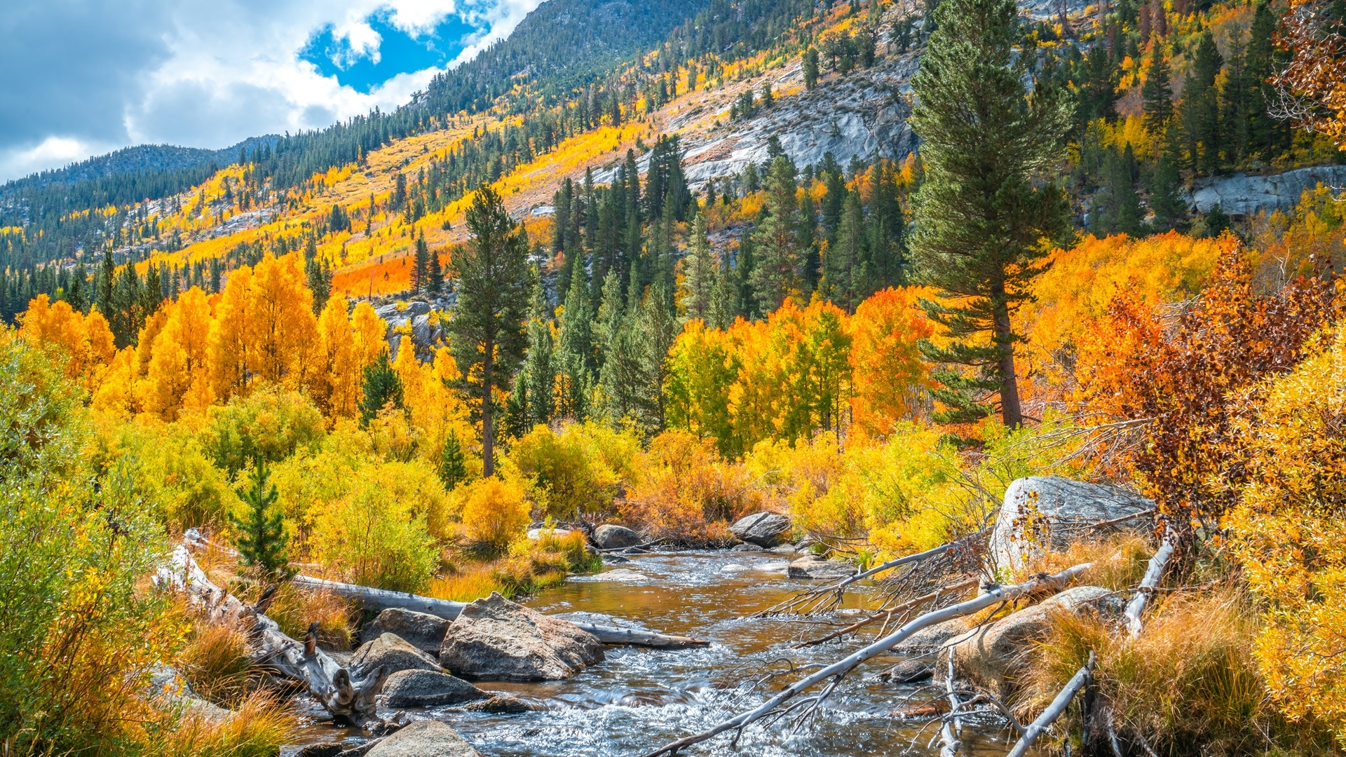 Rzeka, Bishop Creek, Jesień, Krzewy, Drzewa, Góry, Kalifornia, Stany Zjednoczone