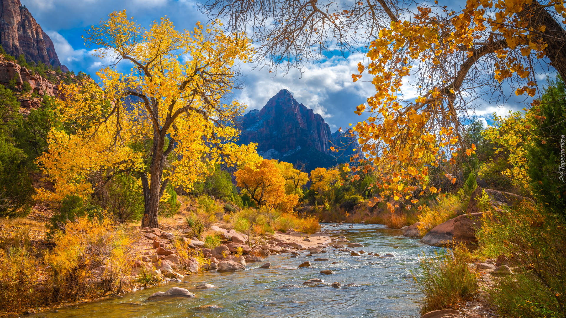 Jesień, Park Narodowy Zion, Rzeka, Virgin River, Góry Watchman, Kamienie, Drzewa, Stan Utah, Stany Zjednoczone