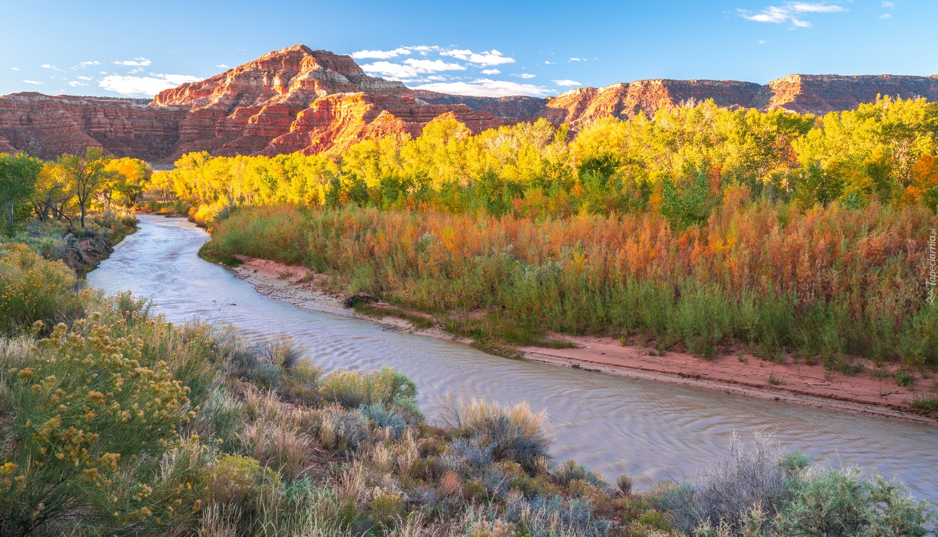 Stany Zjednoczone, Stan Utah, Park Narodowy Zion, Góry Watchman, Rzeka, Virgin River, Kamienie, Drzewa, Krzewy, Jesień