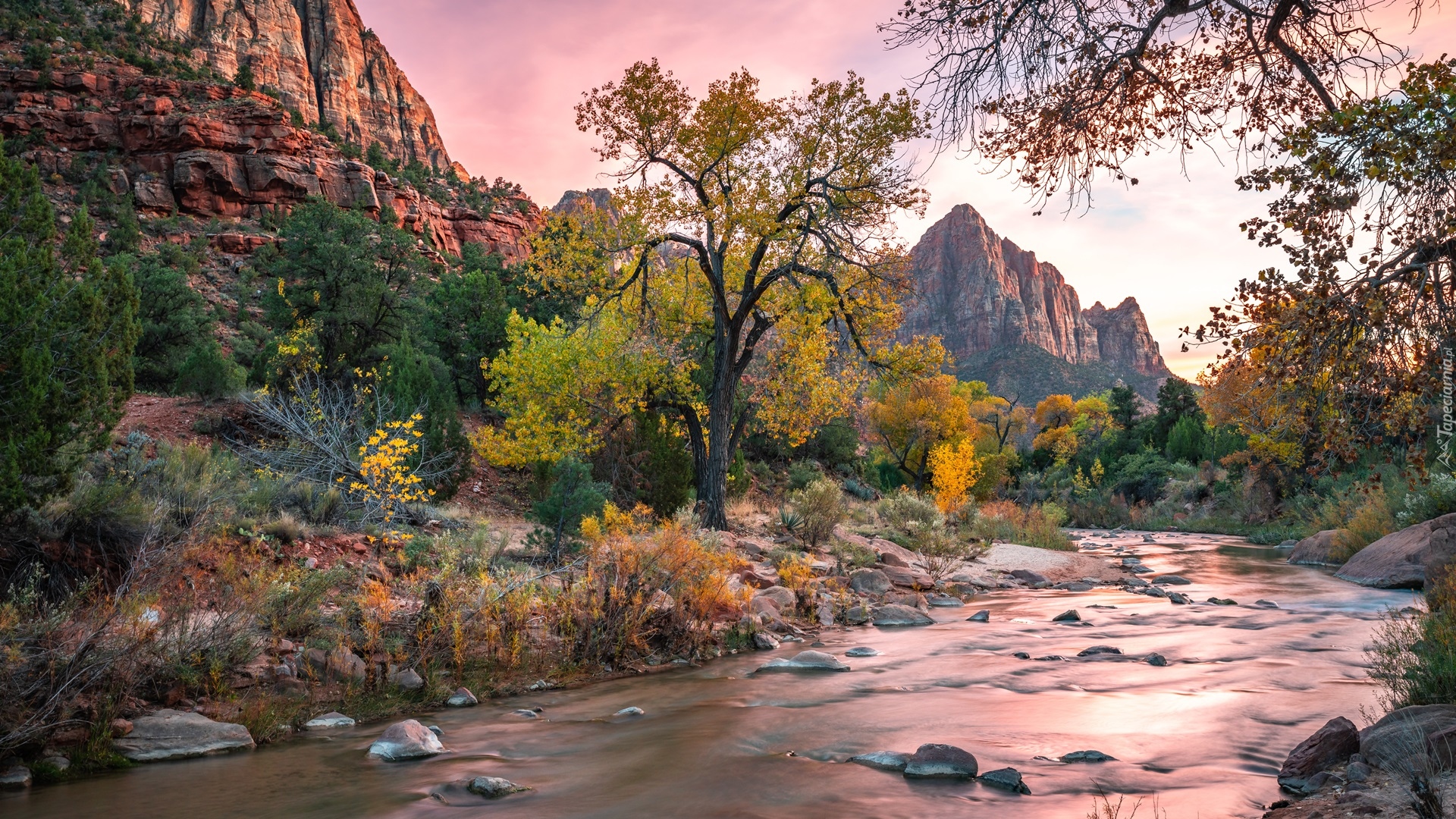 Park Narodowy Zion, Drzewa, Góry Watchman, Rzeka, Virgin River, Kamienie, Stan Utah, Stany Zjednoczone