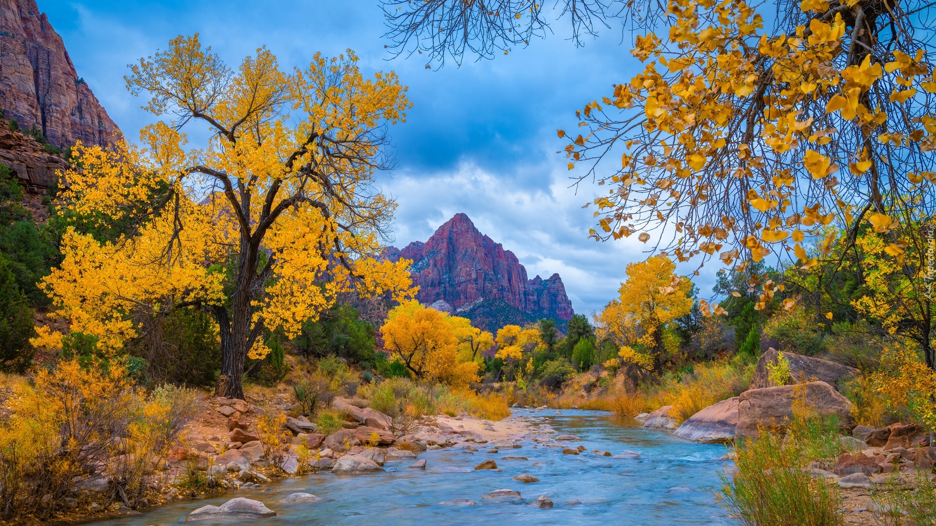 Park Narodowy Zion, Góry Watchman, Drzewa, Jesień, Rzeka, Virgin River, Kamienie, Stan Utah, Stany Zjednoczone