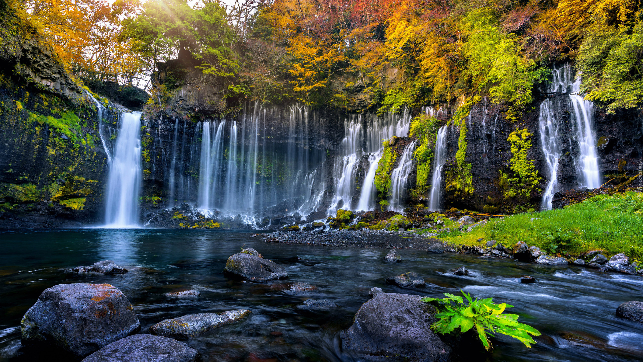Japonia, Shizuoka, Park Narodowy Fudżi Hakone Izu, Wodospad Shiraito, Kamienie, Drzewa, Jesień