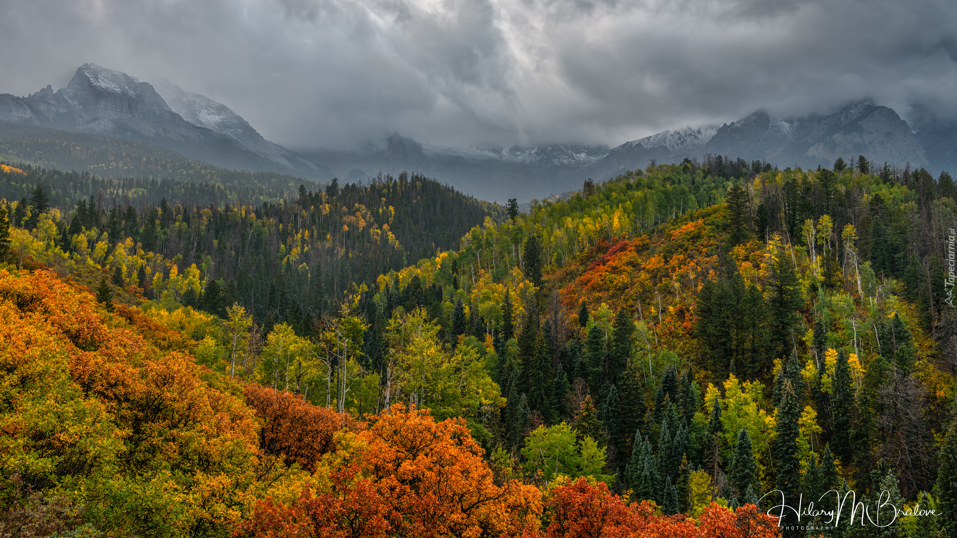 Góry, Jesienne, Drzewa, Ciemne, Chmury