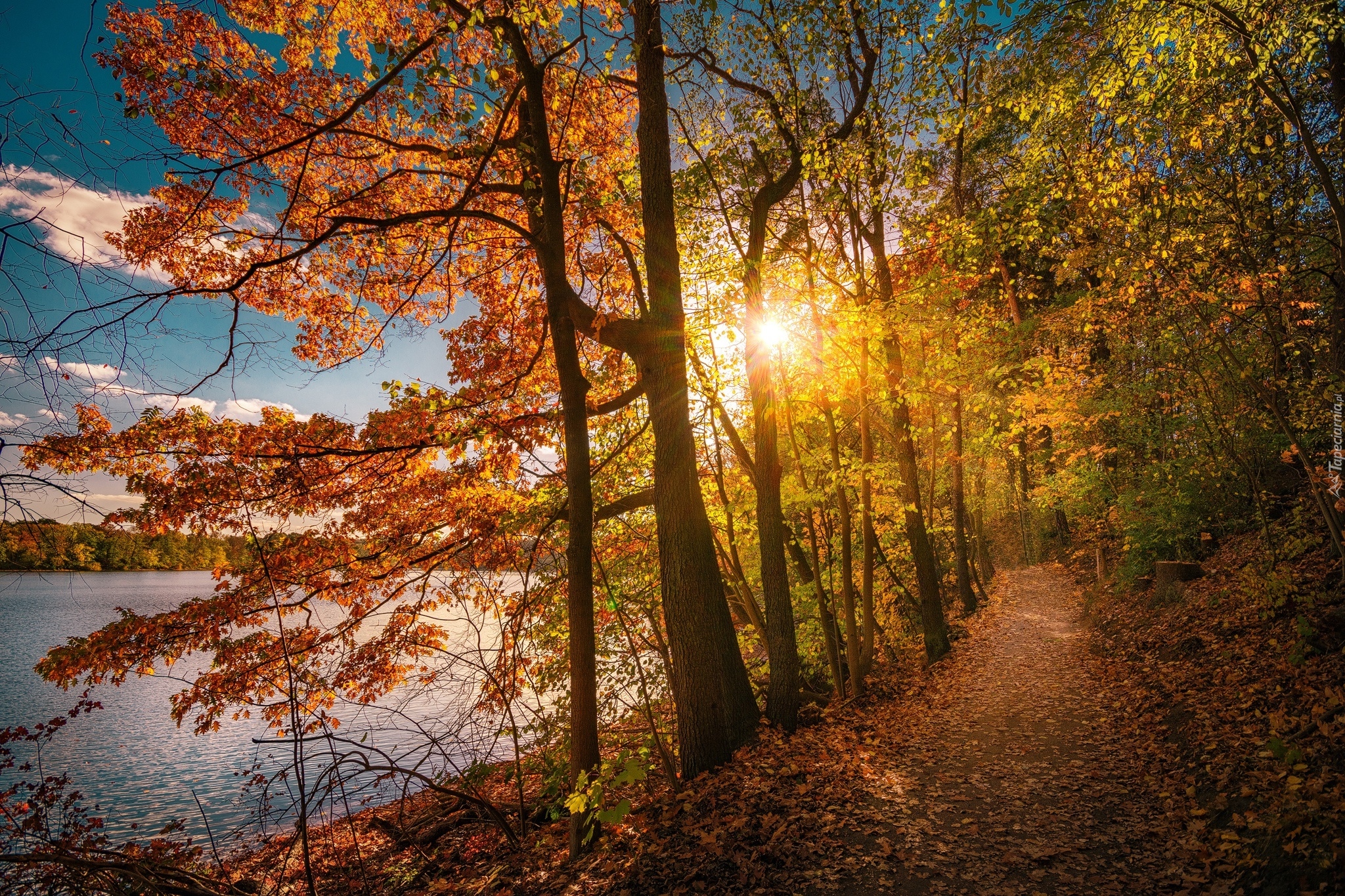 Jezioro, Drzewa, Jesień, Ścieżka, Wschód słońca
