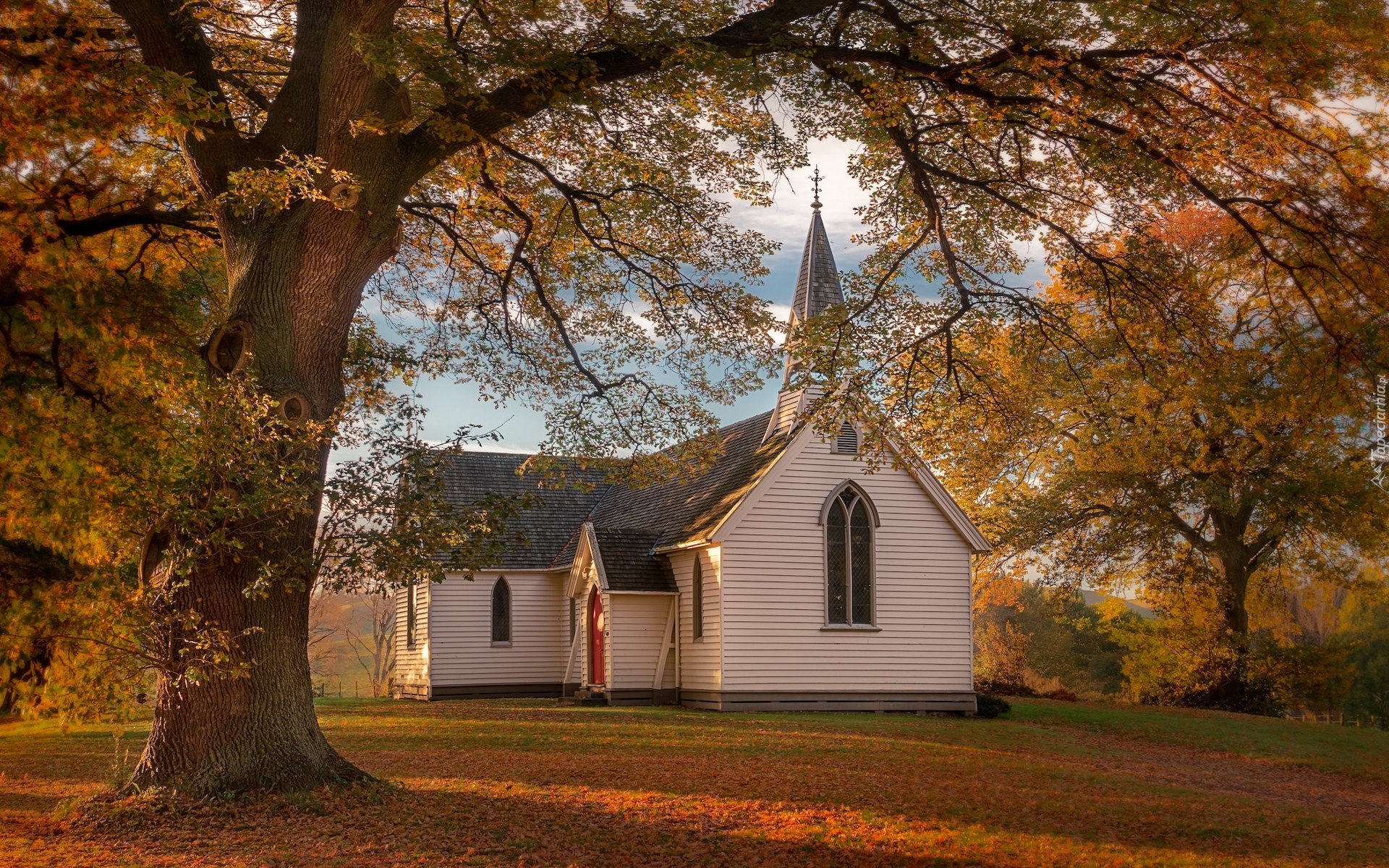 Drzewo, Jesień, Kościół, Christ Church, Liście, Region Hawkes Bay, Nowa Zelandia