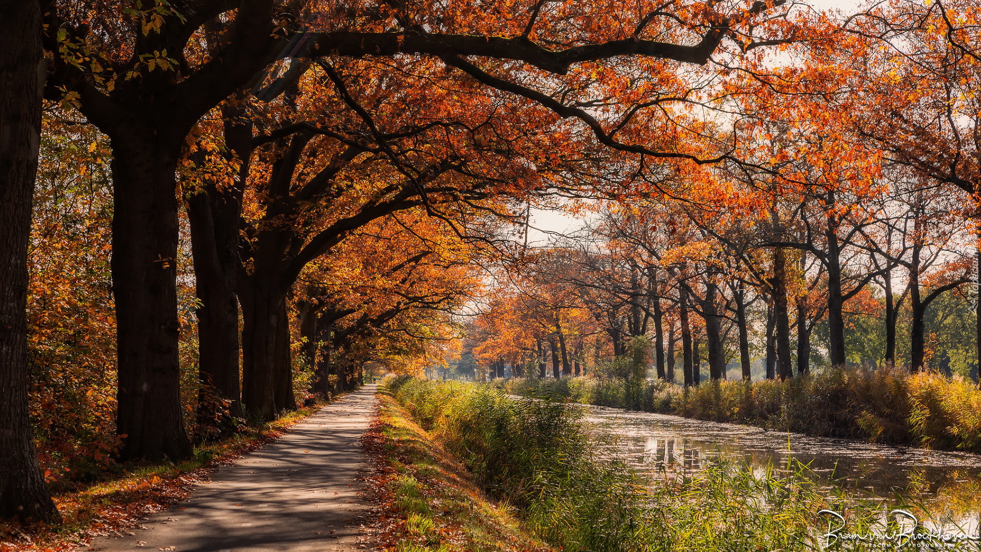 Jesień, Drzewa, Ścieżka, Rzeka, Kanał