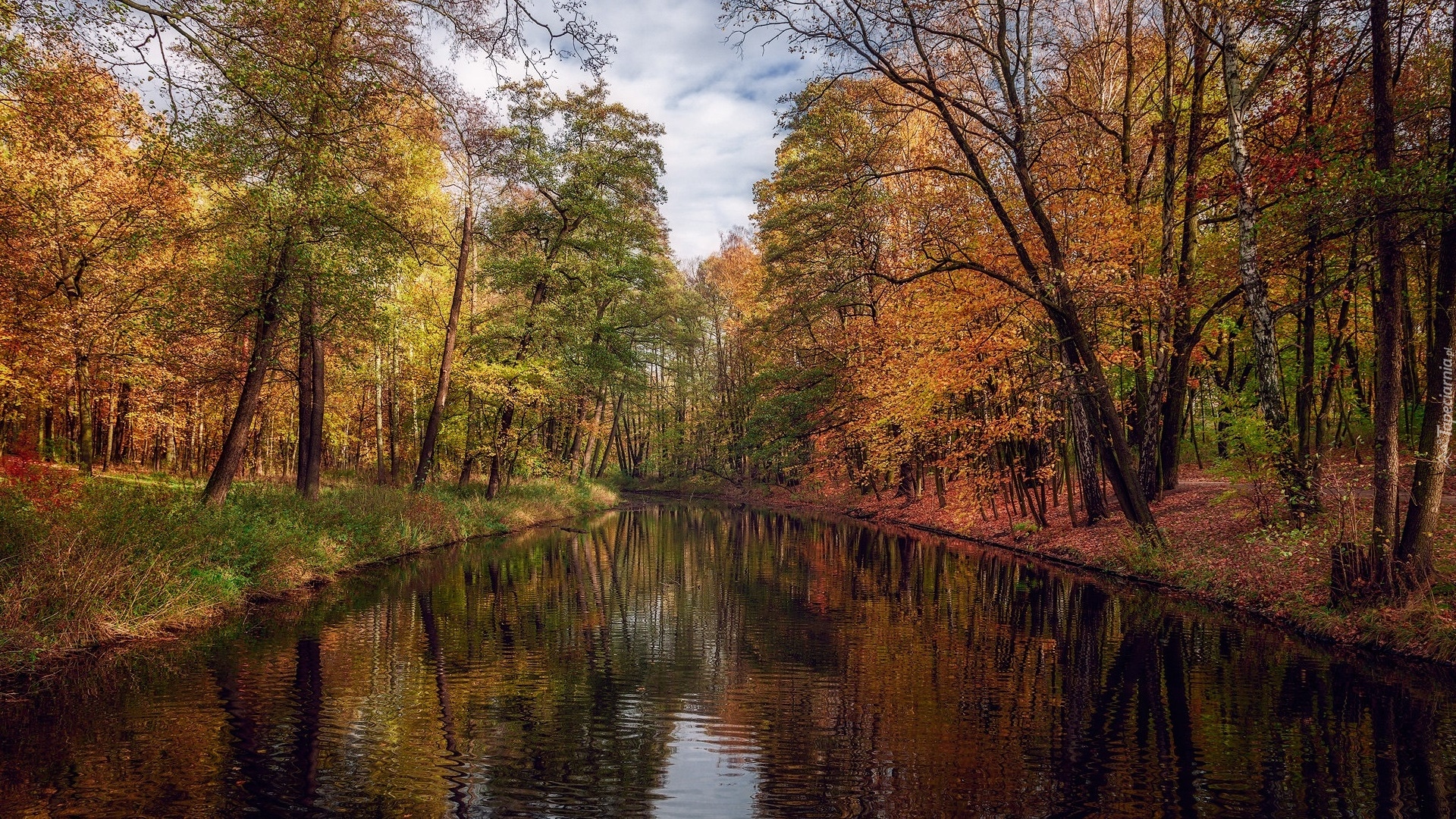 Jesień, Rzeka, Kolorowe, Drzewa, Park