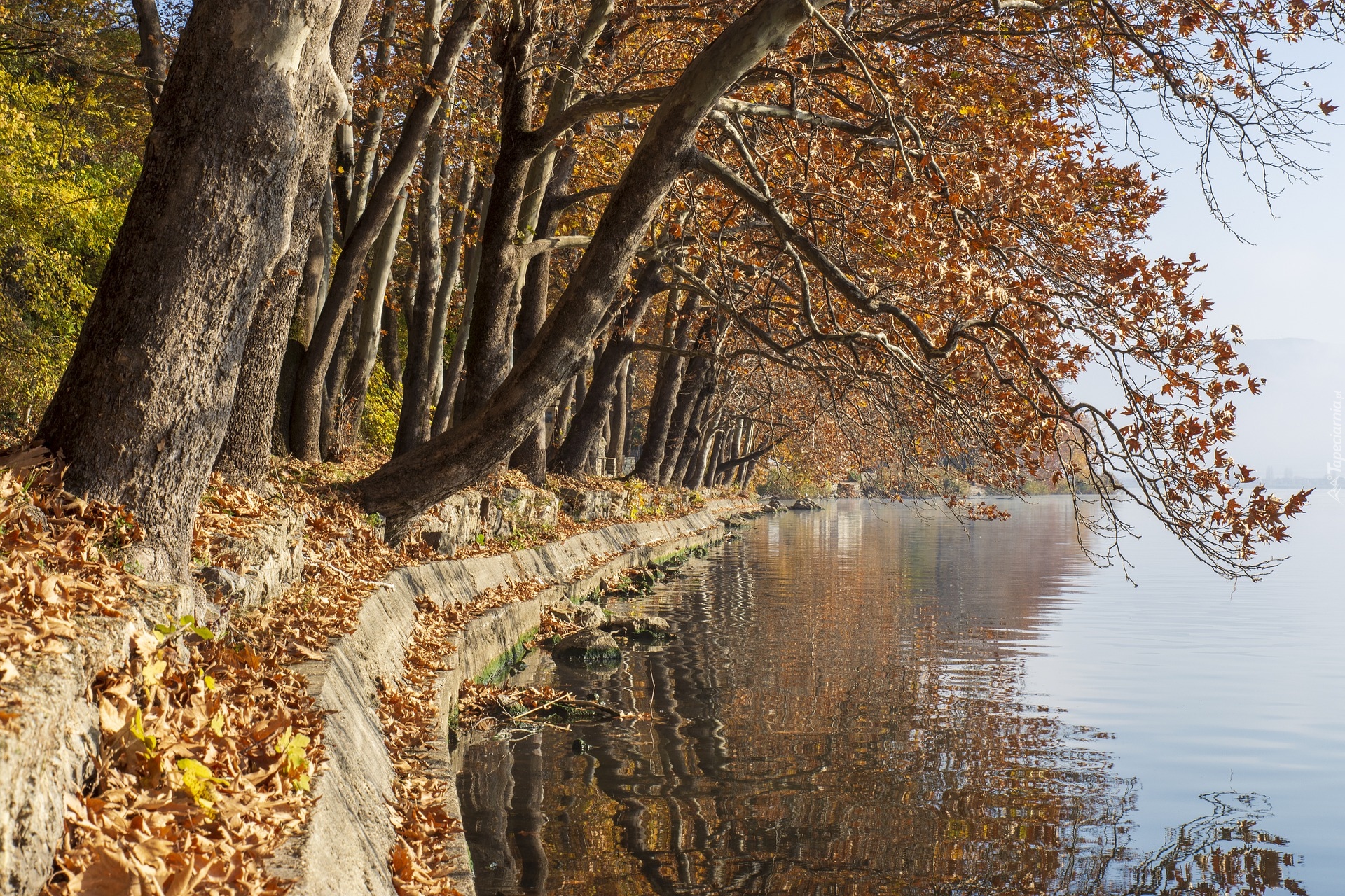 Jesień, Drzewa, Jezioro Kastoria, Kastoria, Grecja