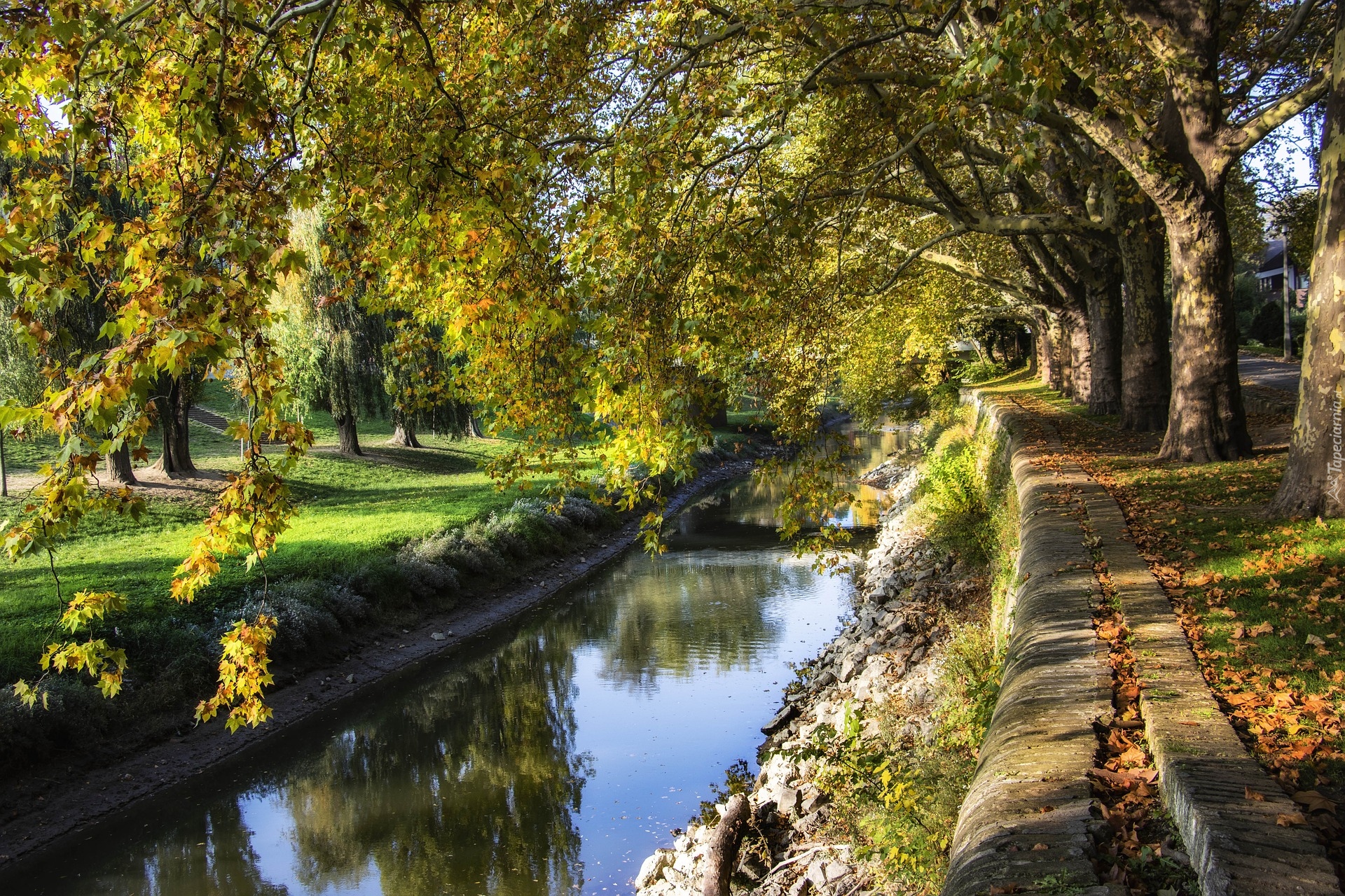 Kanał, Rzeka, Park, Drzewa