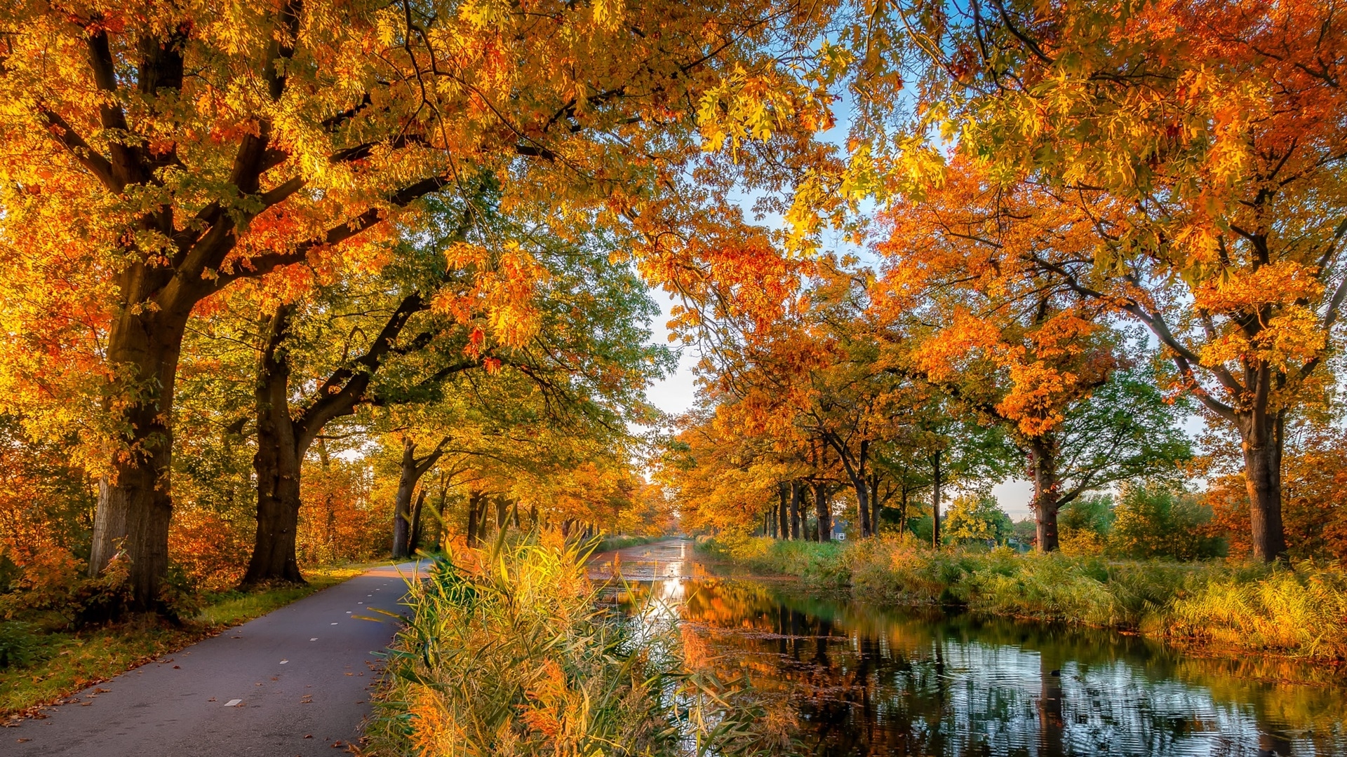 Droga, Rzeka, Drzewa, Jesień