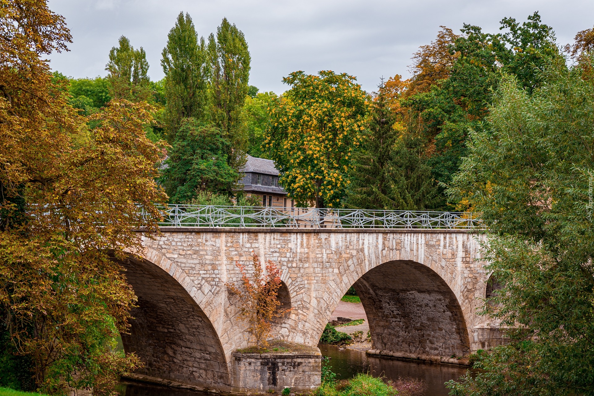Most, Rzeka, Jesień, Drzewa