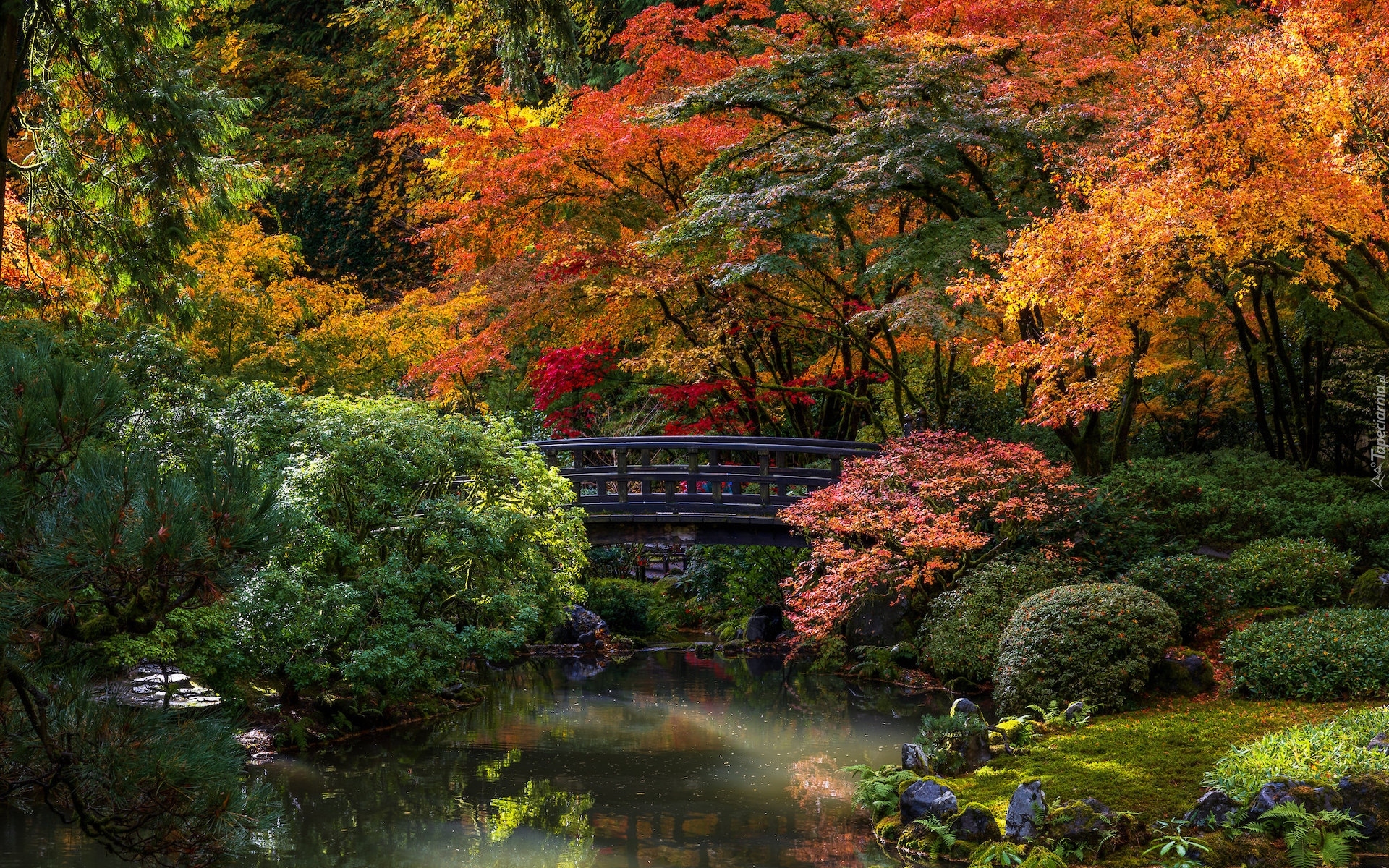 Jesień, Ogród japoński, Drzewa, Krzewy, Mostek, Portland Japanese Garden, Portland, Oregon, Stany Zjednoczone