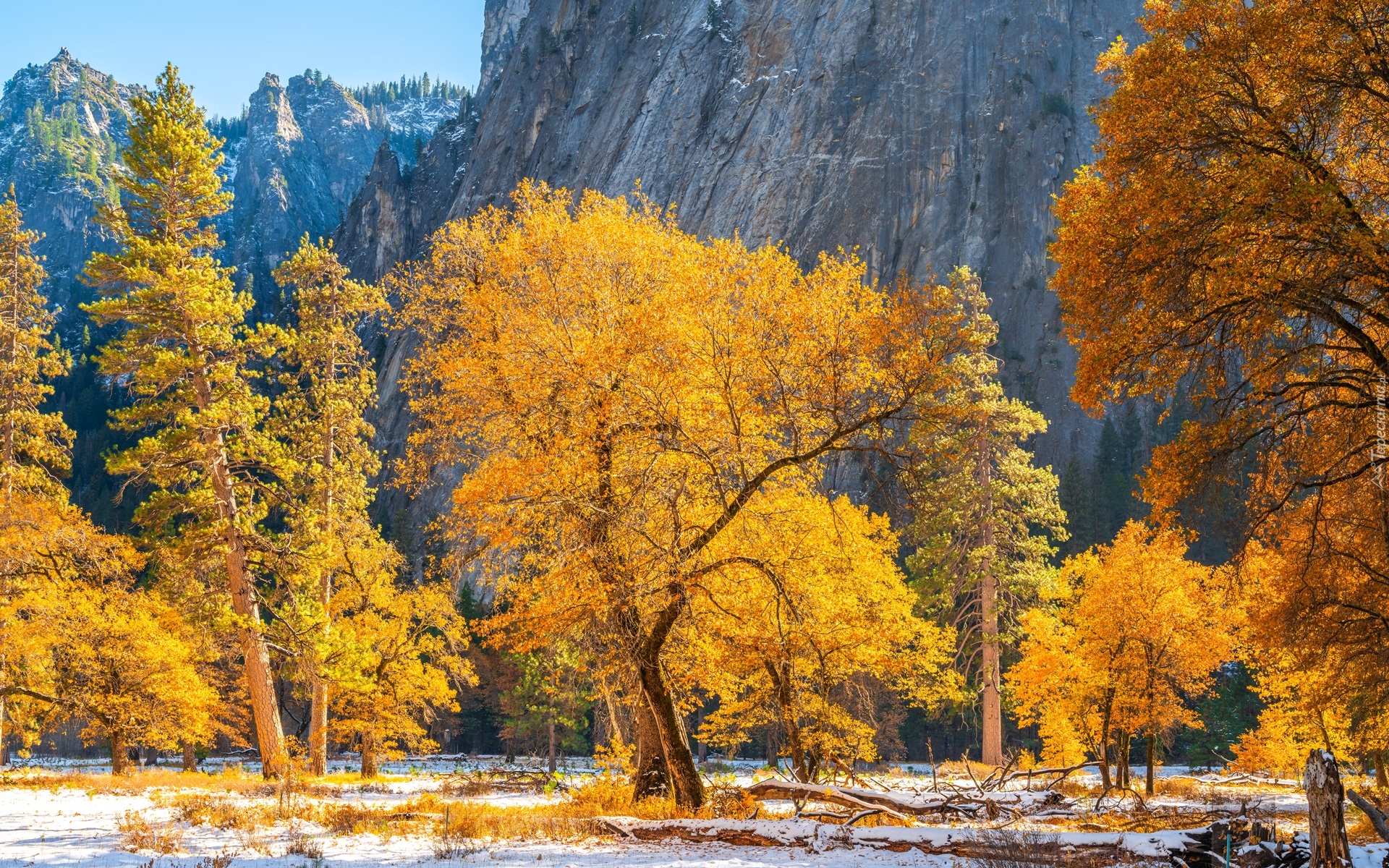 Jesień, Park Narodowy Yosemite, Góry, Drzewa, Stan Kalifornia, Stany Zjednoczone