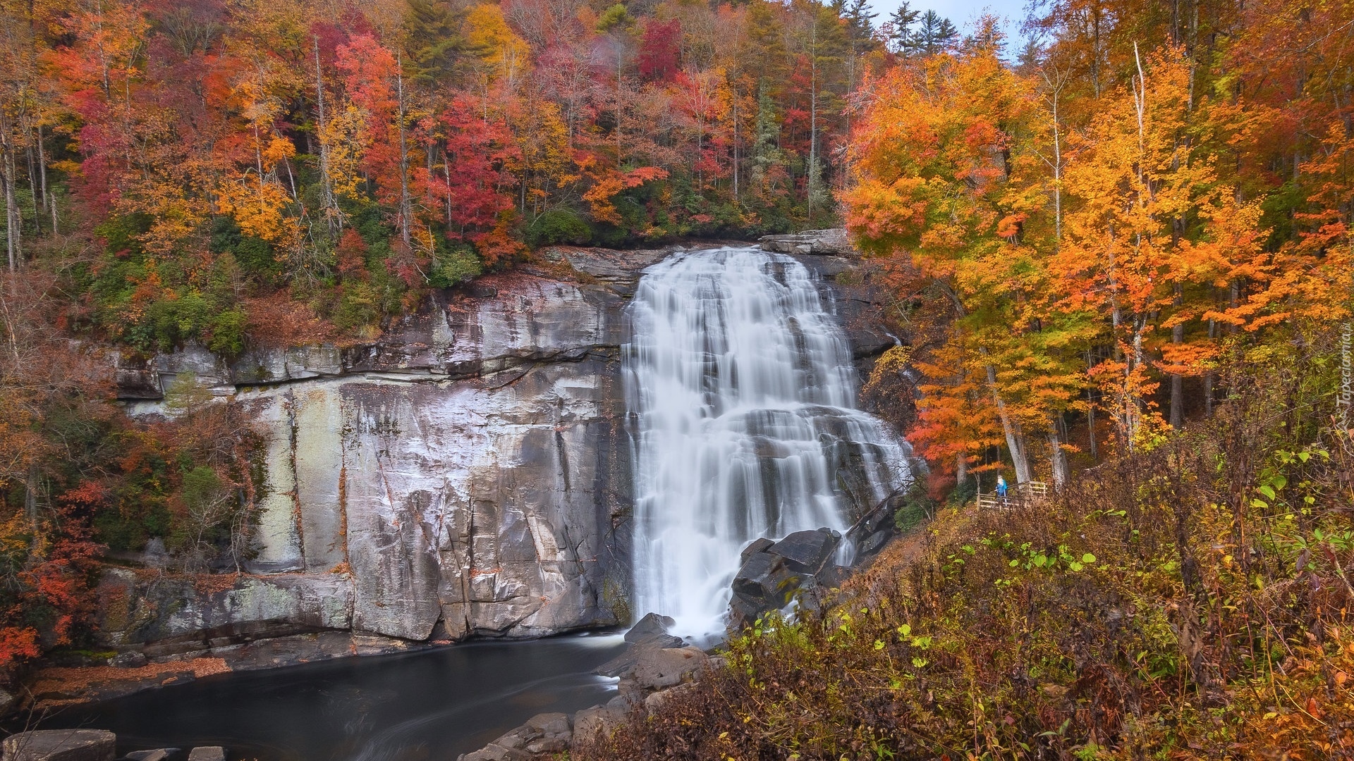 Jesień, Skały, Wodospad, Rainbow Falls, Rzeka, Kolorowe, Drzewa, Gorges State Park, Karolina Północna, Stany Zjednoczone