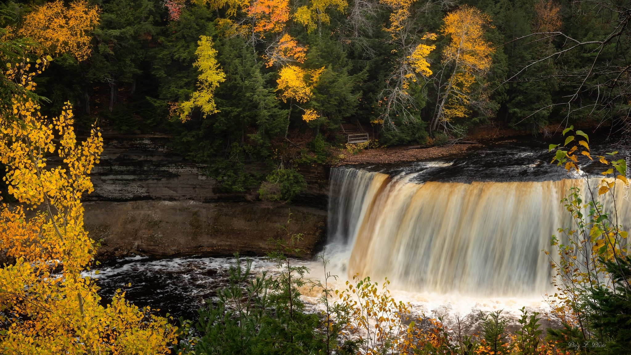 Jesień, Drzewa, Wodospad, Tahquamenon Falls, Stan Michigan, Stany Zjednoczone